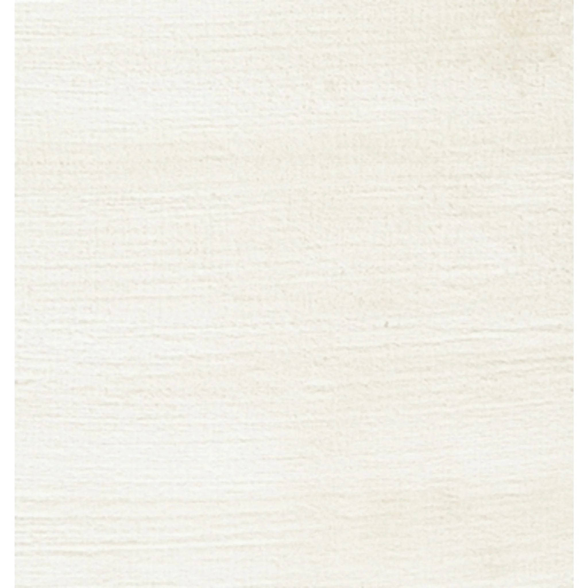 Anaben Area Rug - 8'x10' - Image 5