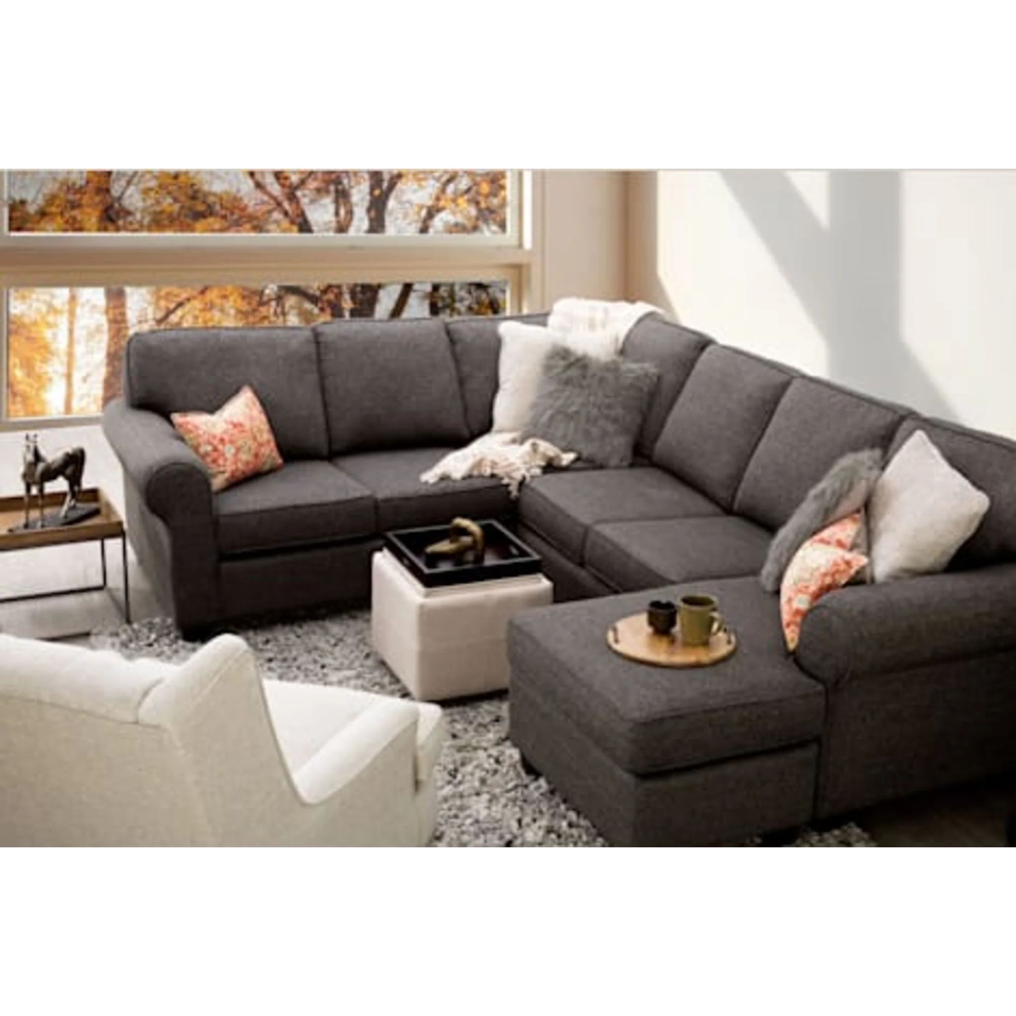 Astro 2 Piece Sectional with Chaise - Image 4