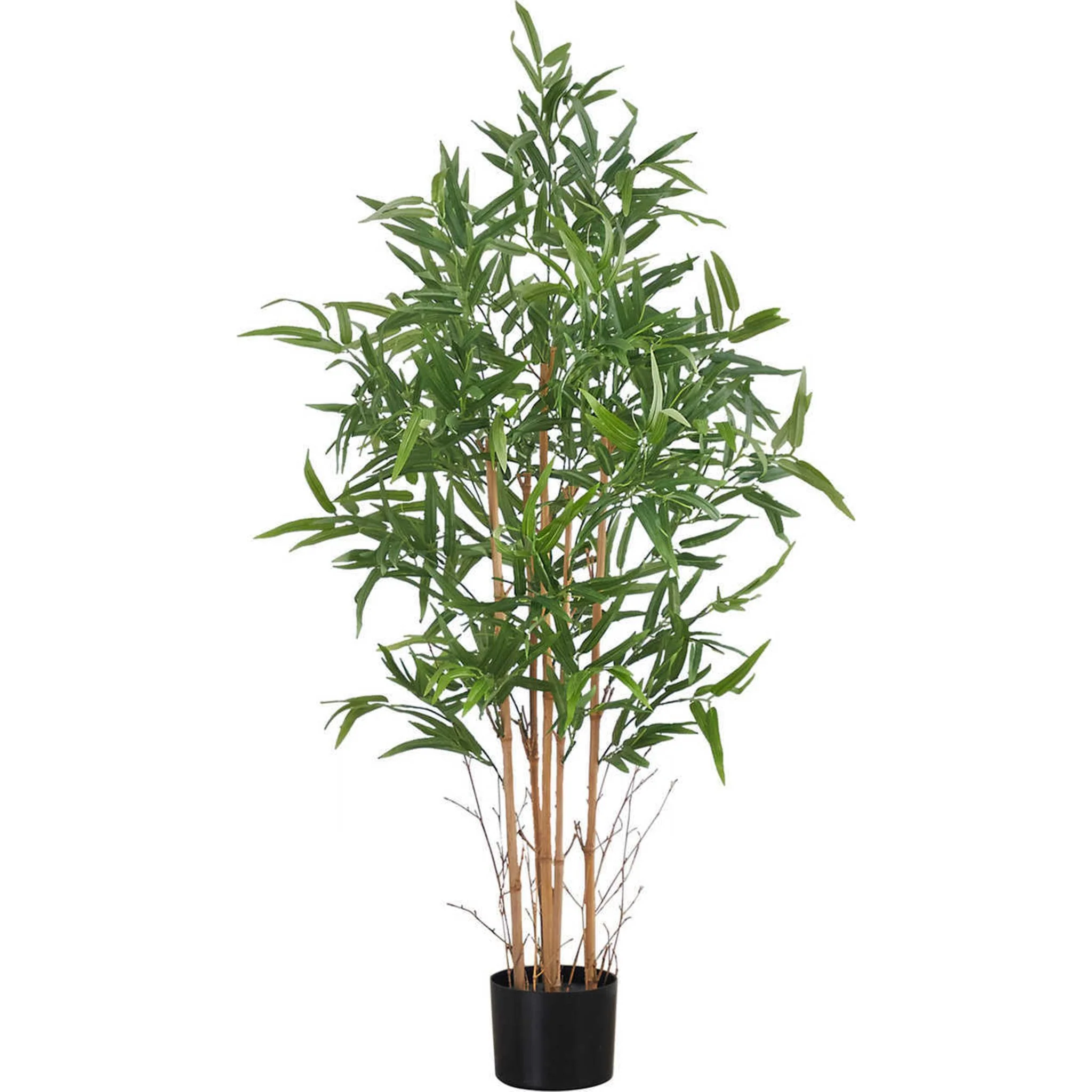 Bamboo Tree