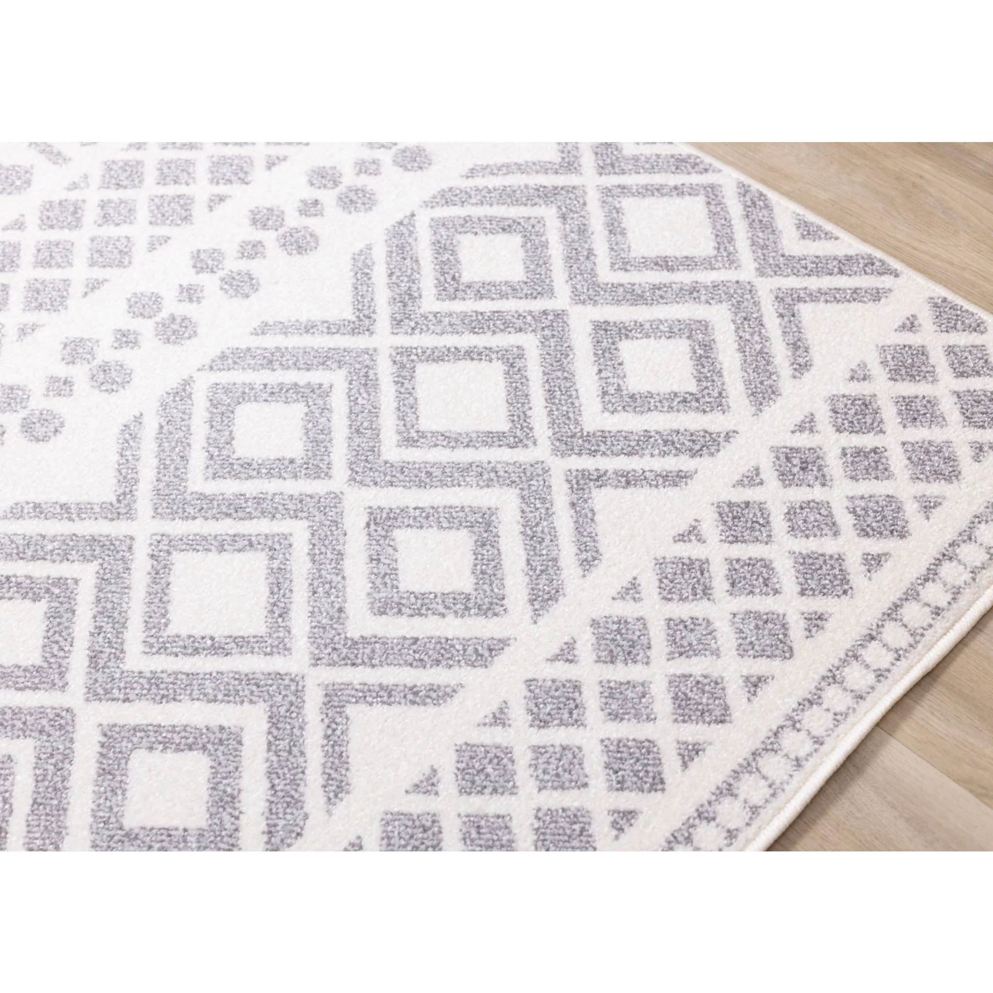 Century Area Rug - Image 8