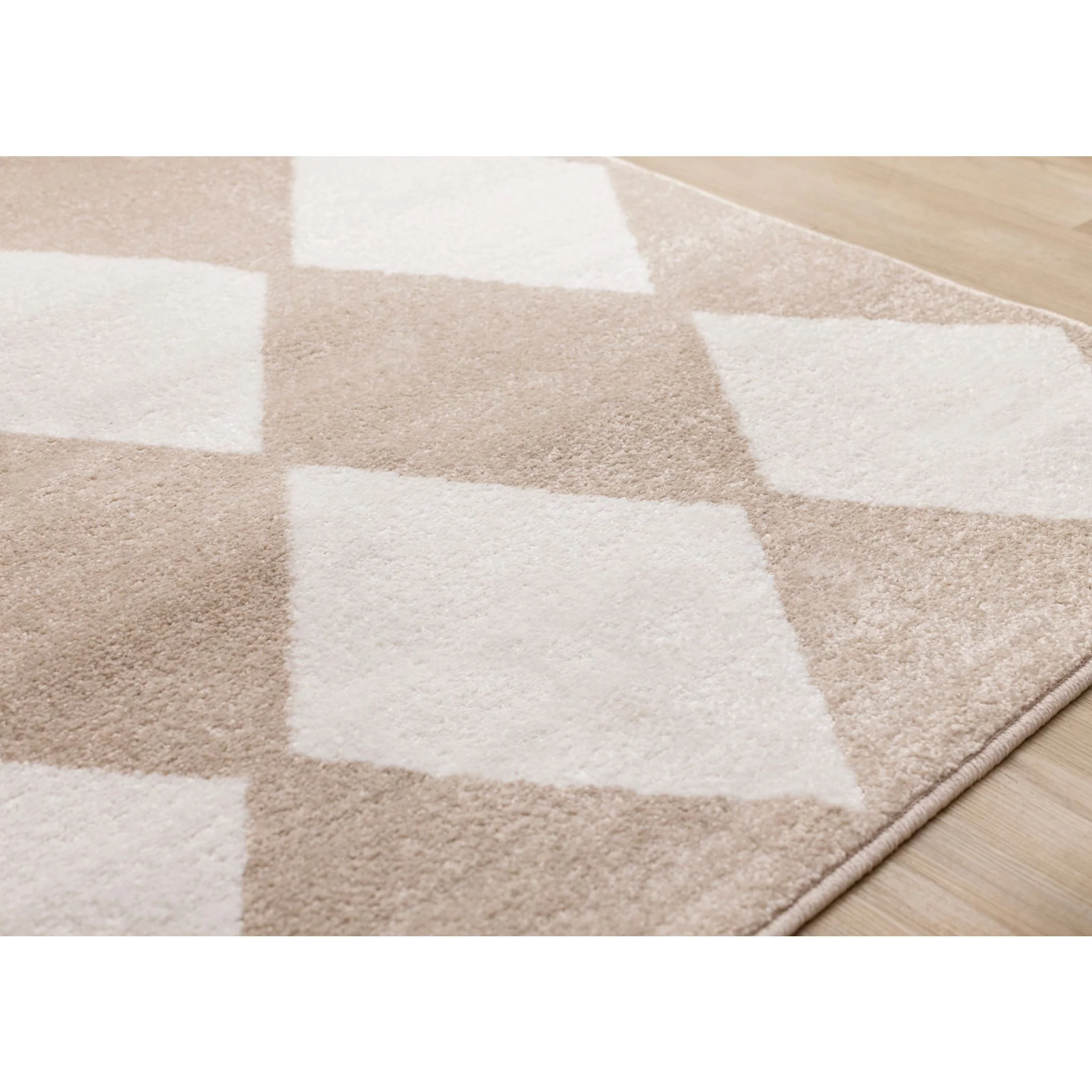 Century Area Rug - Image 17