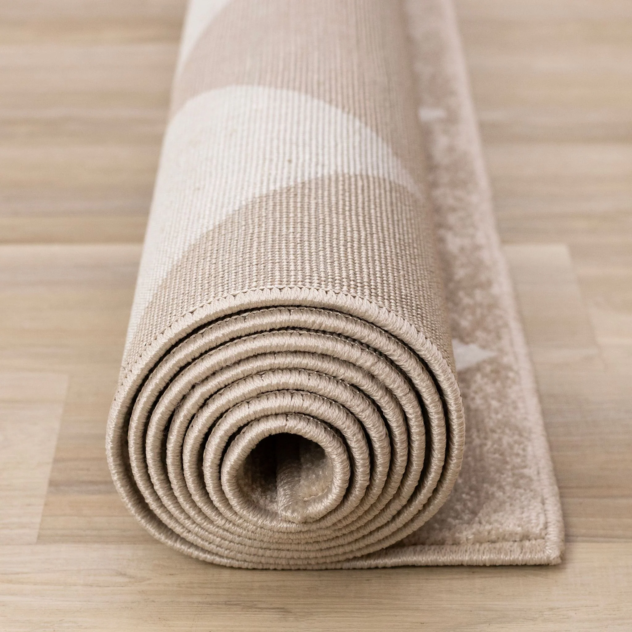 Century Area Rug - Image 26