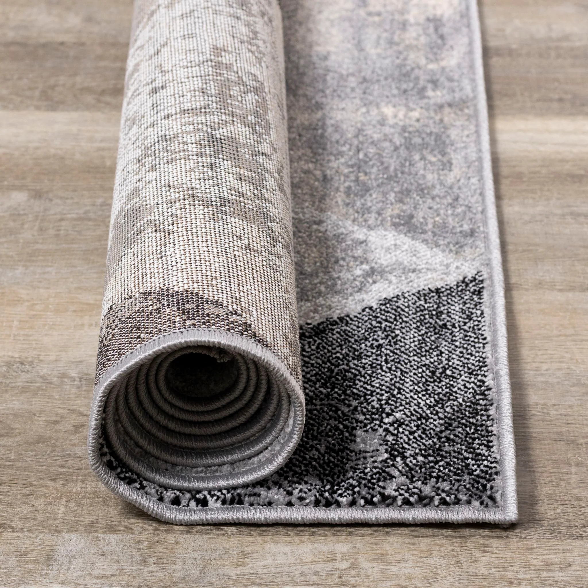 Century Area Rug - Image 9