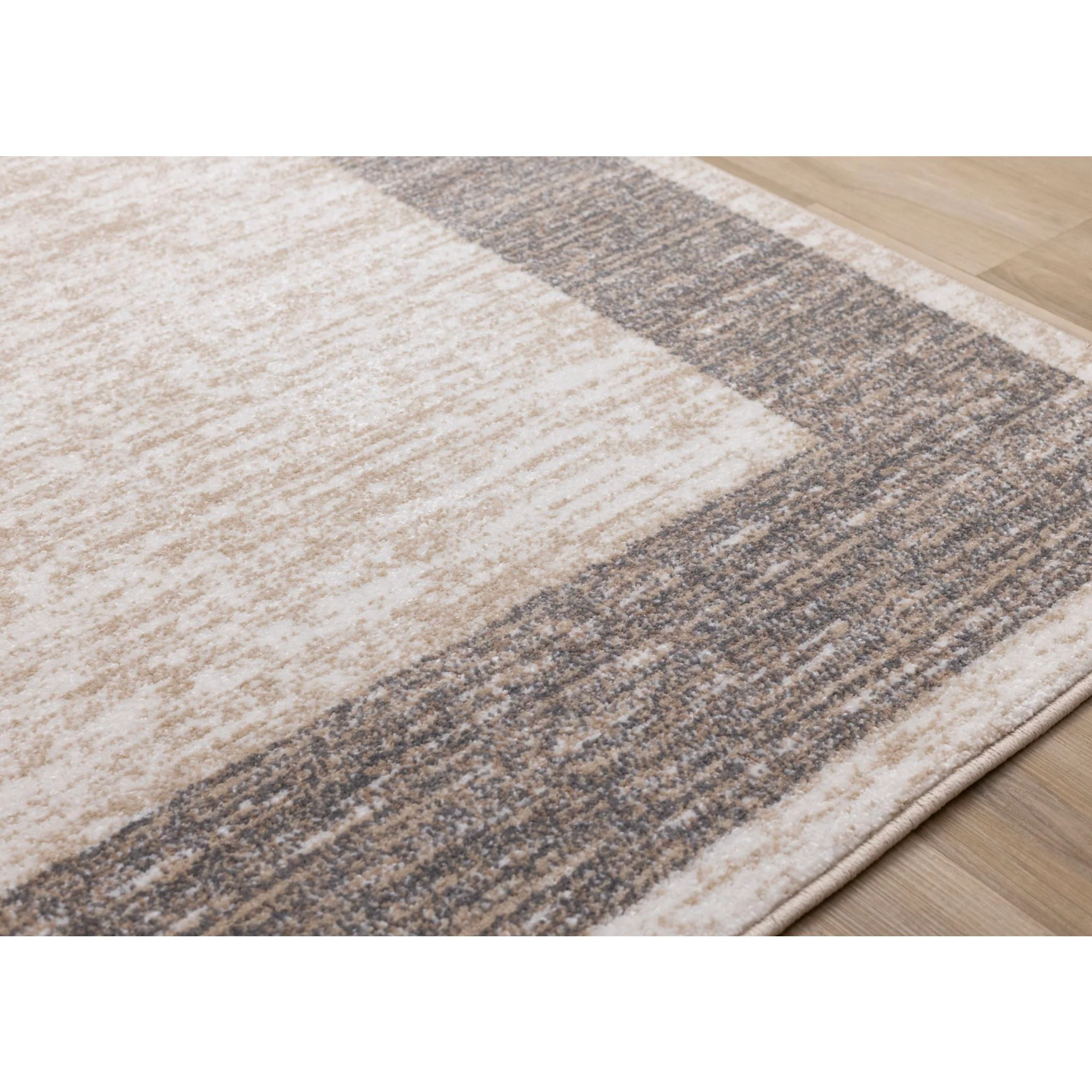 Century Area Rug - Image 4