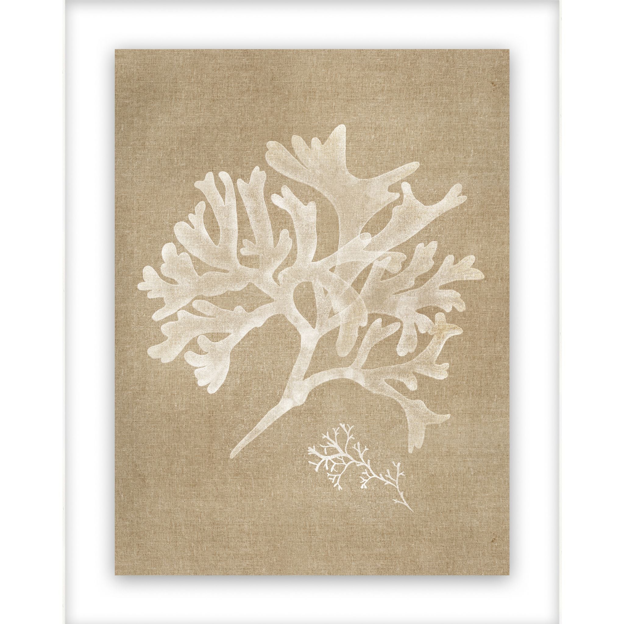 Coral I Wall Art 17.00" x 21.00"