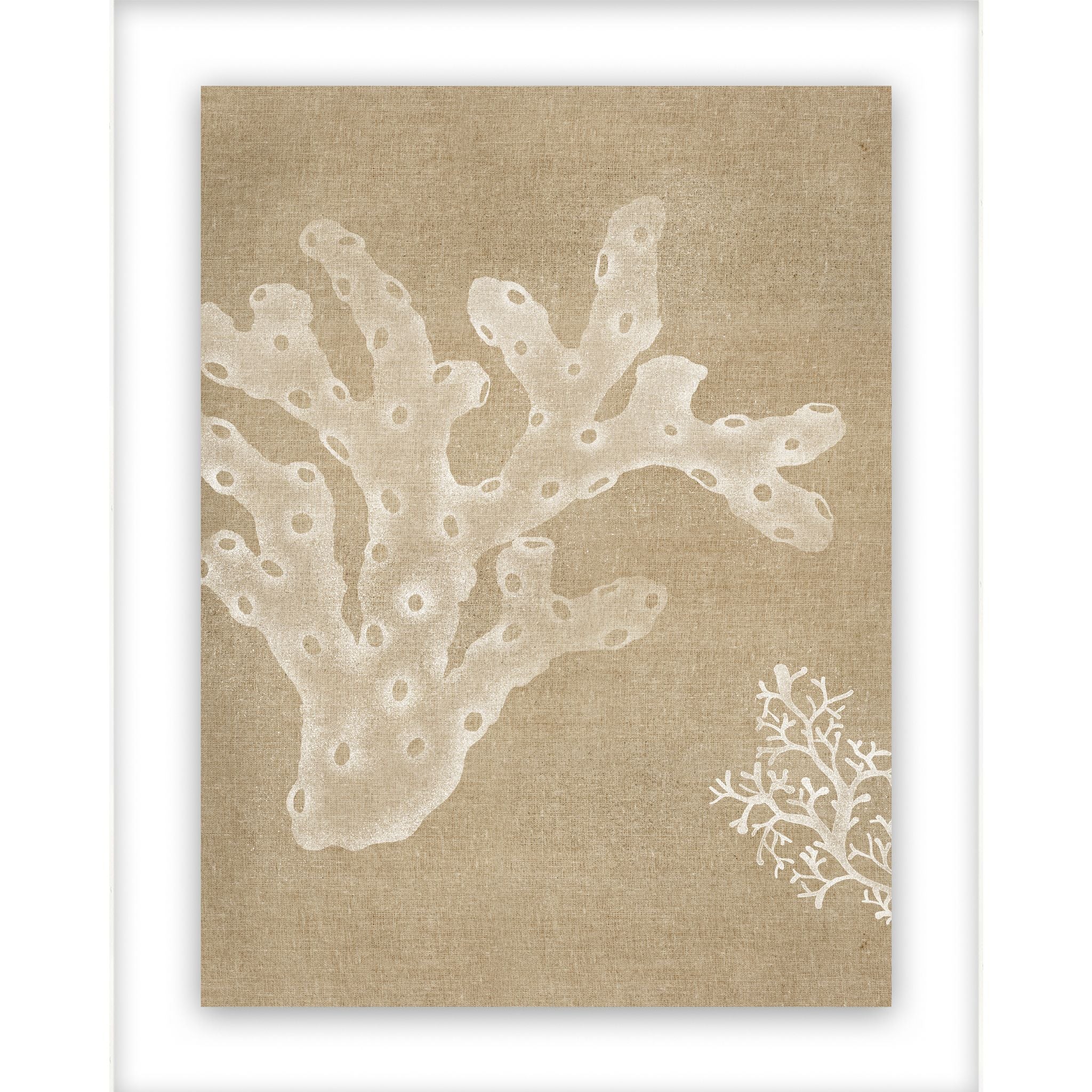 Coral II Wall Art 17.00" x 21.00"