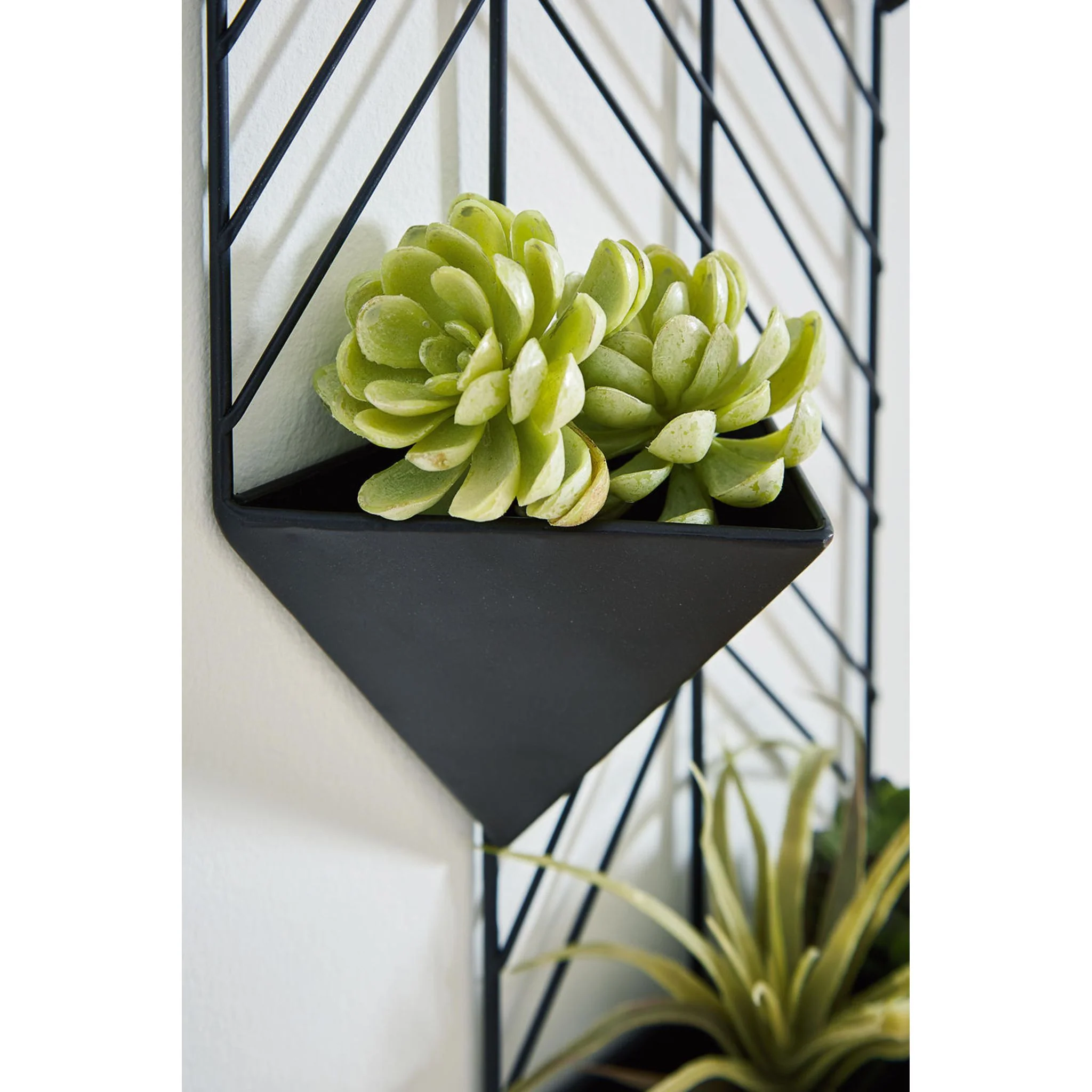 Dashney Wall Planter 12.01" x 27.99" - Image 8