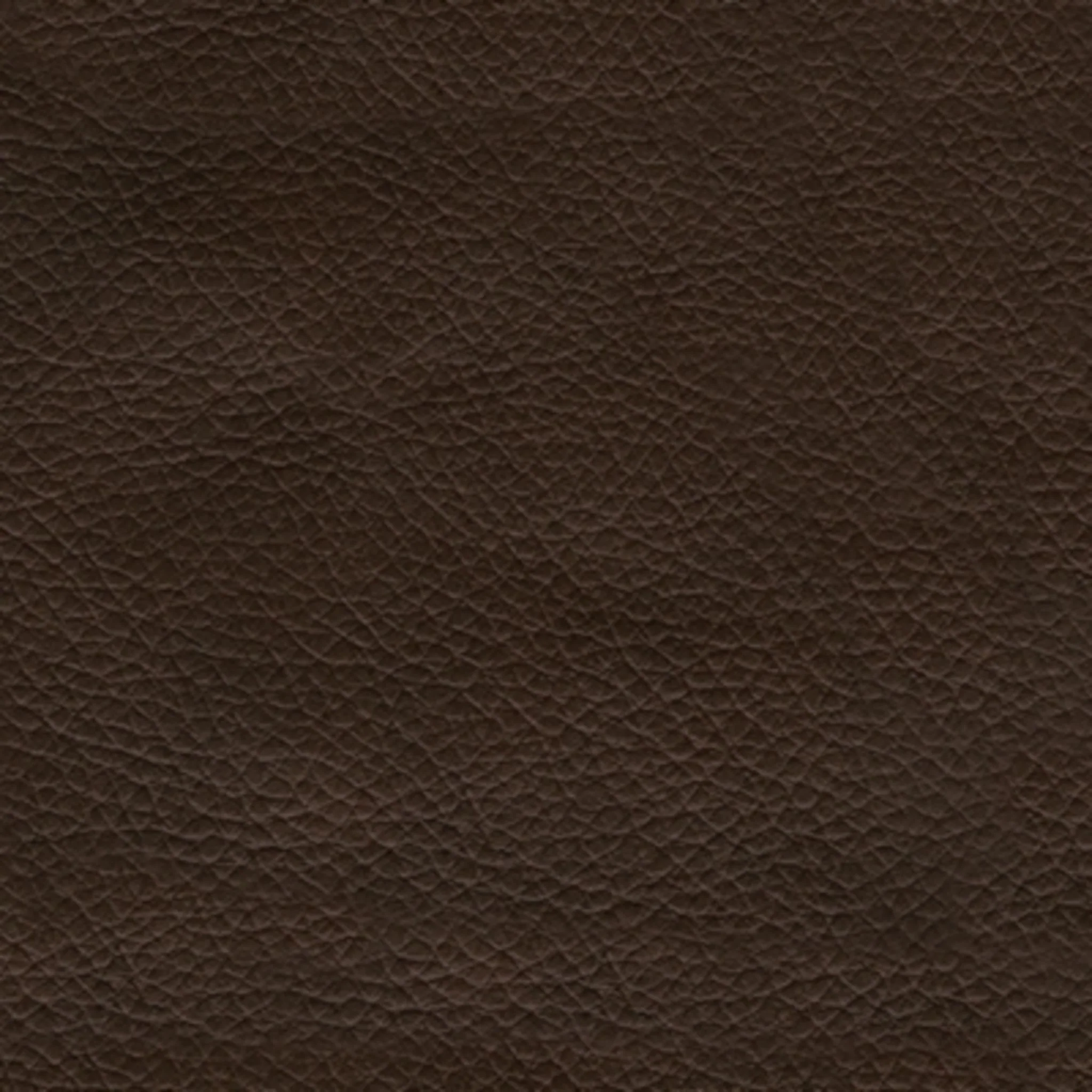 Donlen Loveseat - Chocolate - Image 7