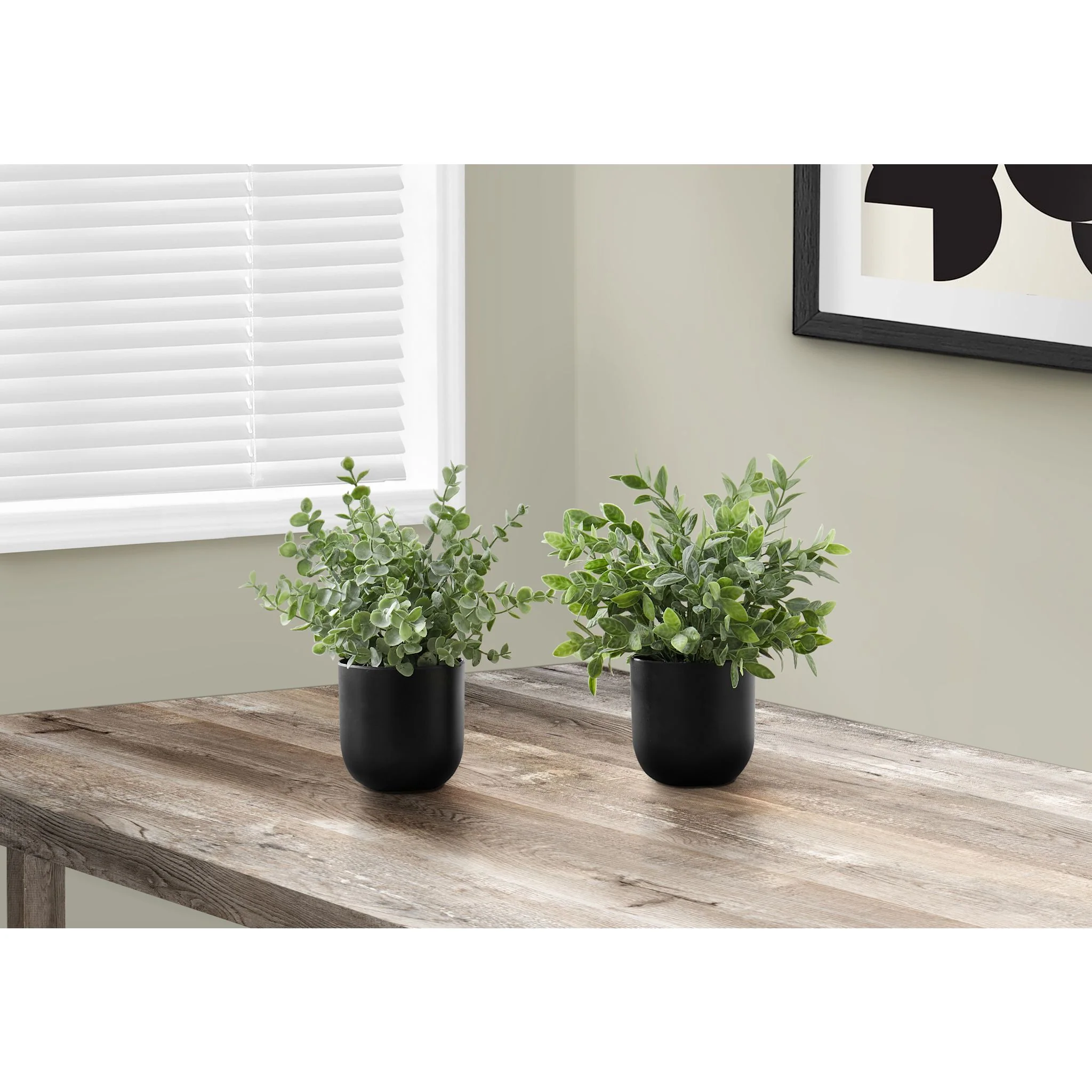 Eucalyptus Grass Plant (Set of 2) - Image 2