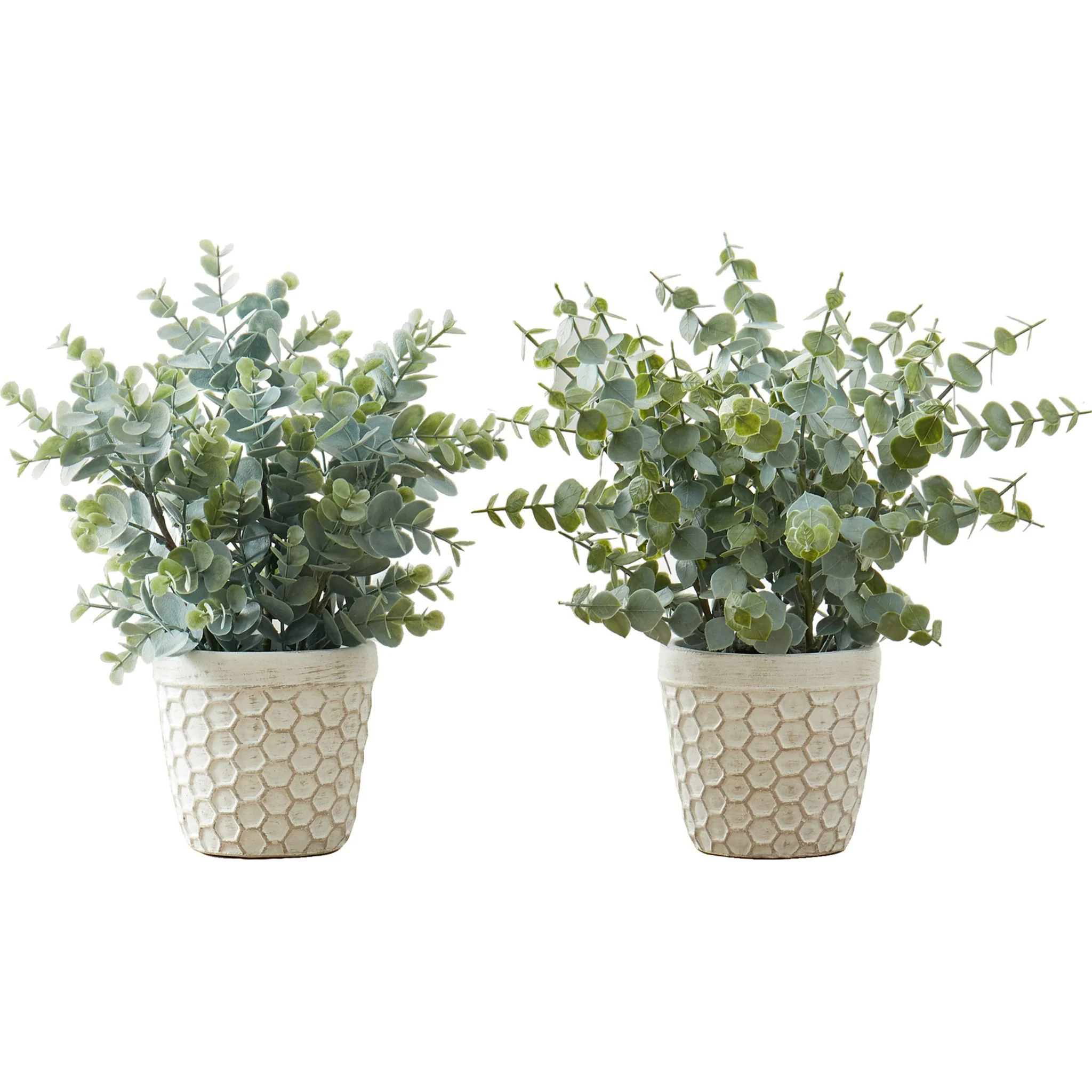Eucalyptus Grass Plant (Set of 2)