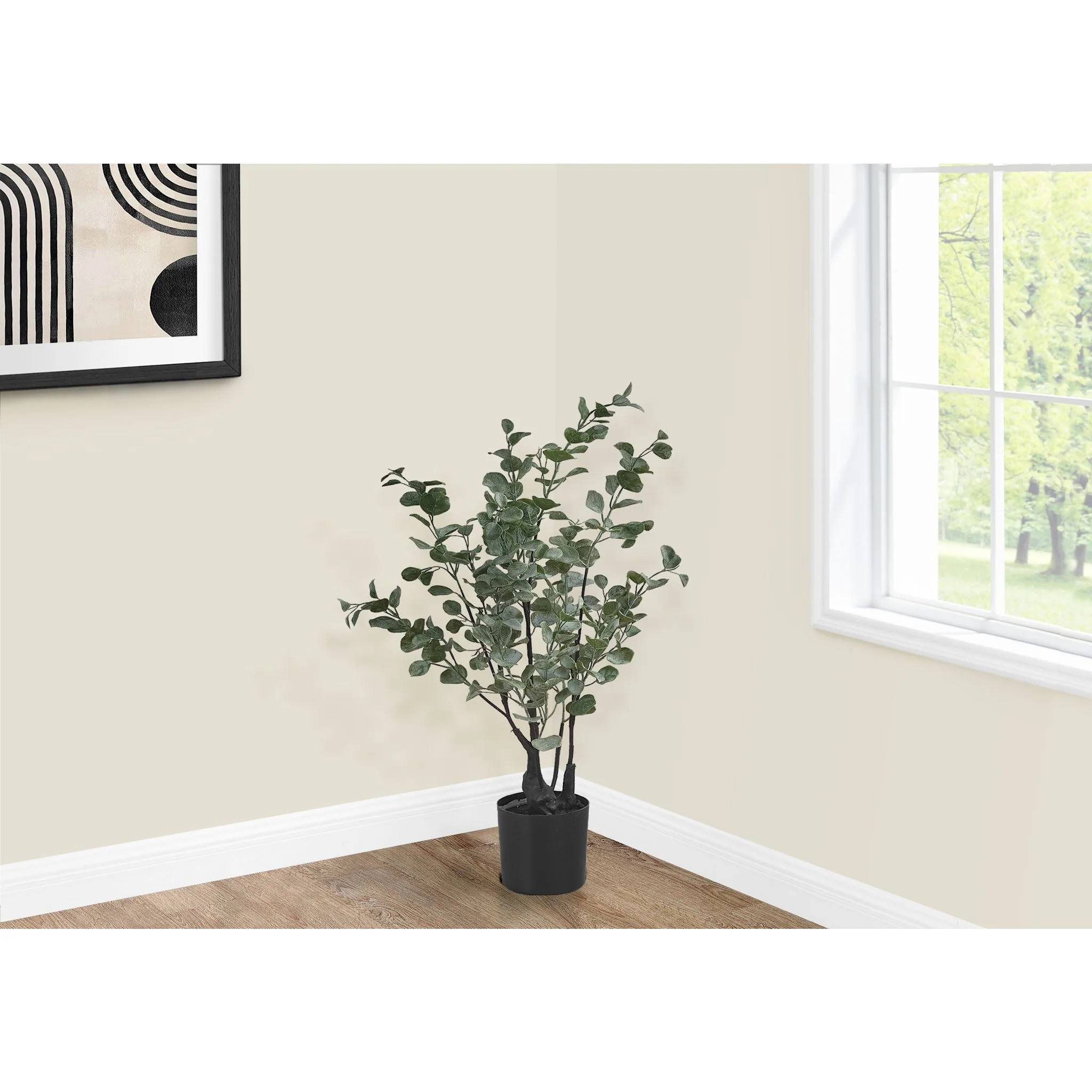 Eucalyptus Tree - Image 2