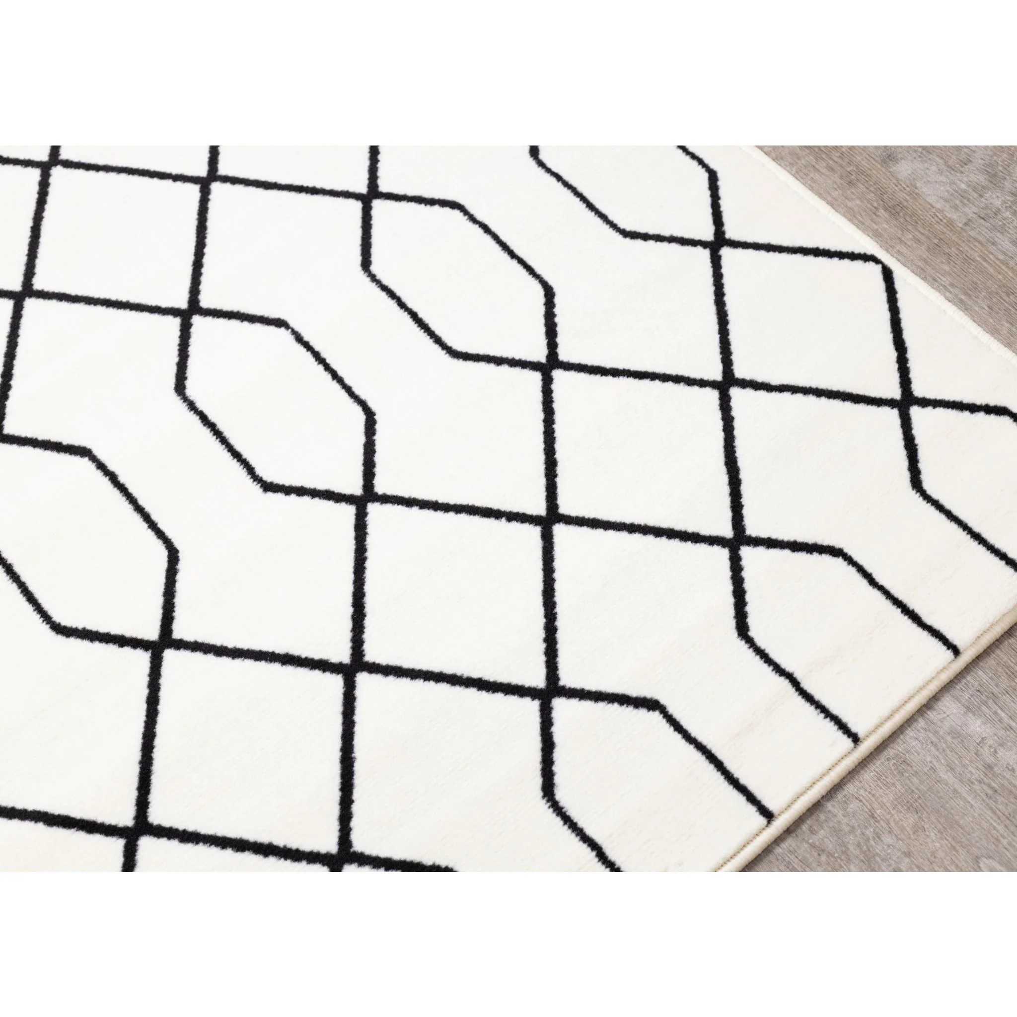 Faira Area Rug - 5'x7' - Image 3
