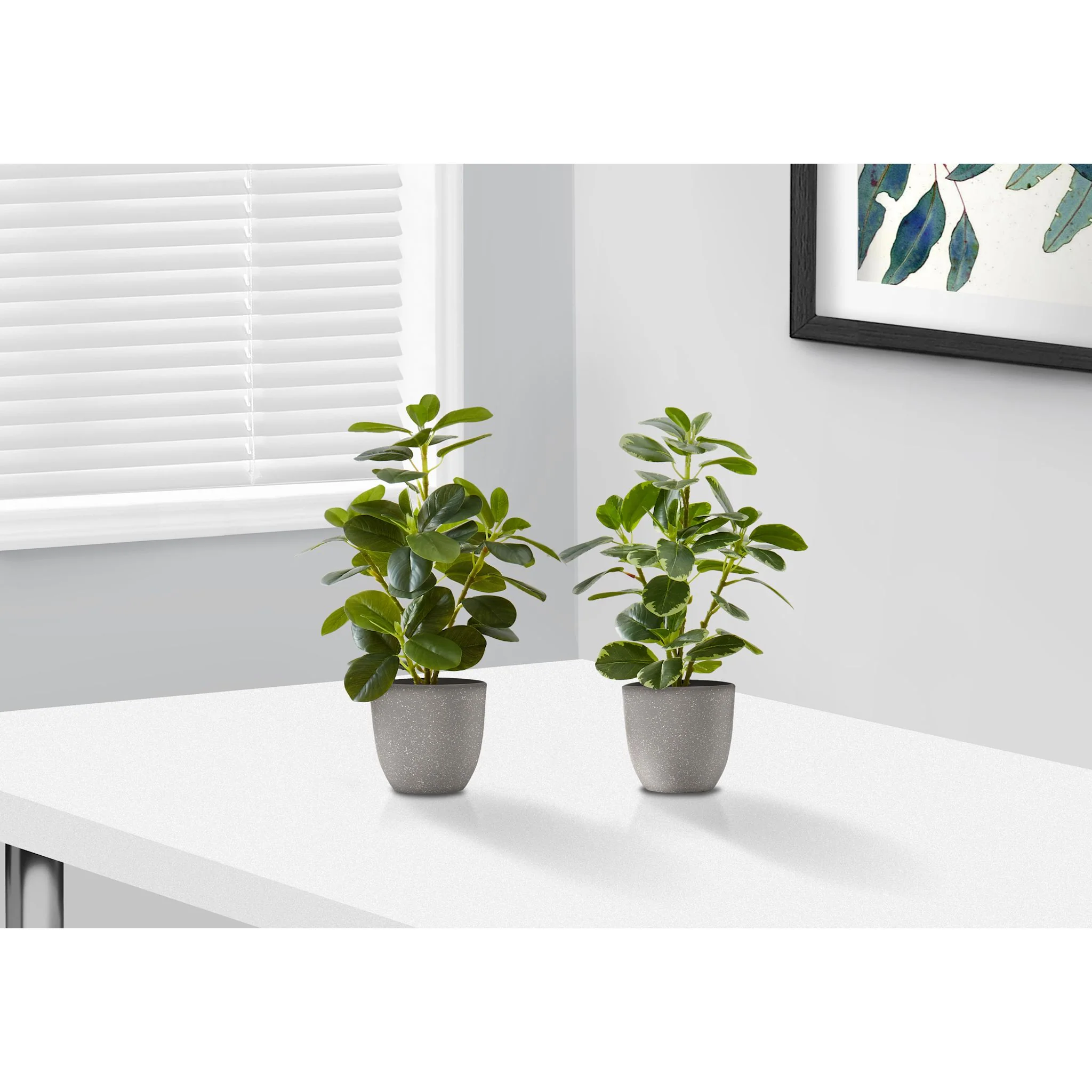 Ficus Plant (Set of 2) - Image 2