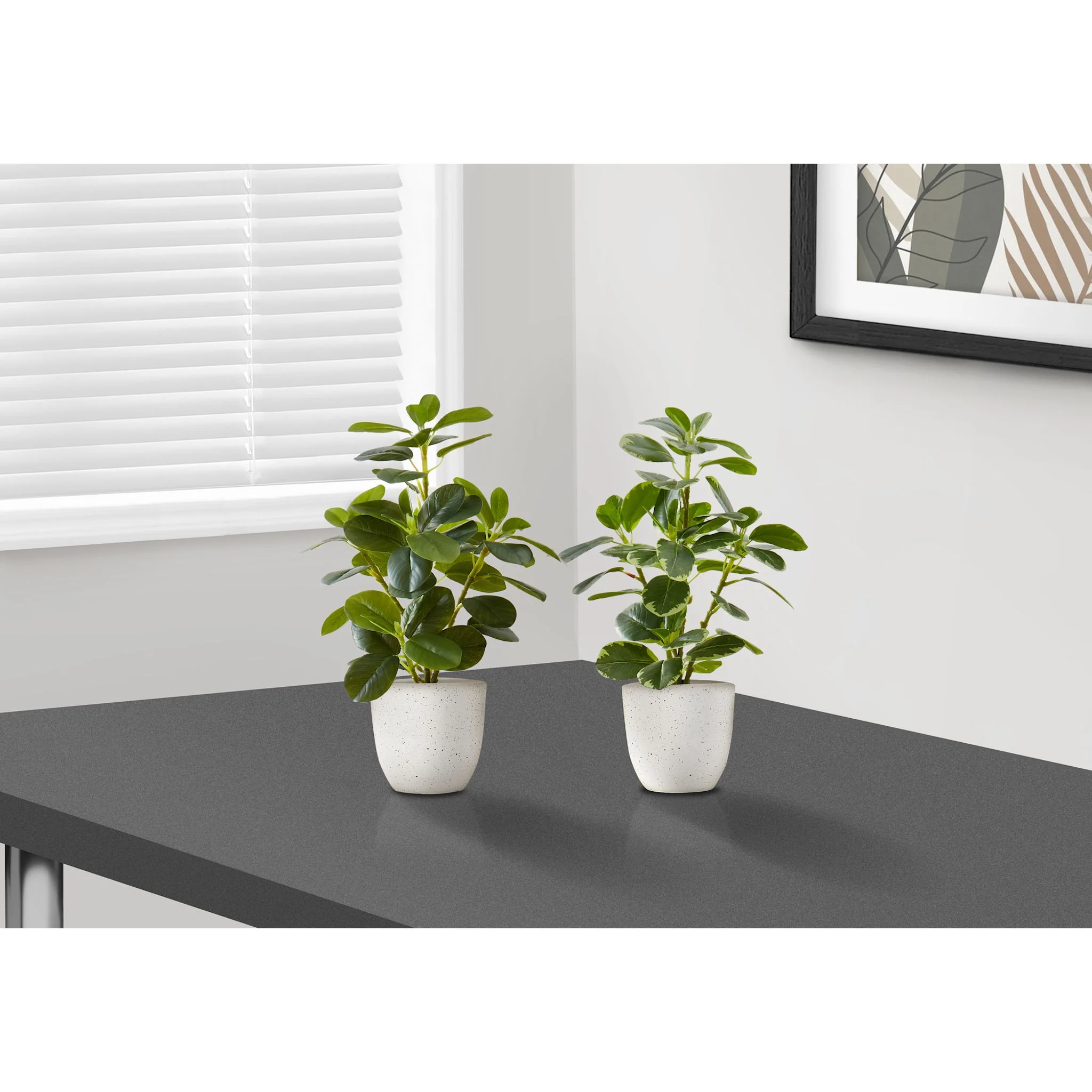 Ficus Plant (Set of 2) - Image 2