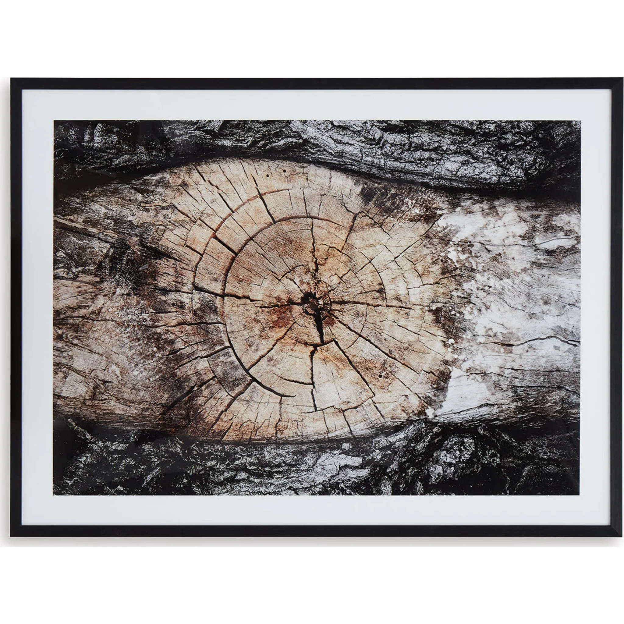 Freyburn Wall Art 30.00" x 40.00" - Image 4
