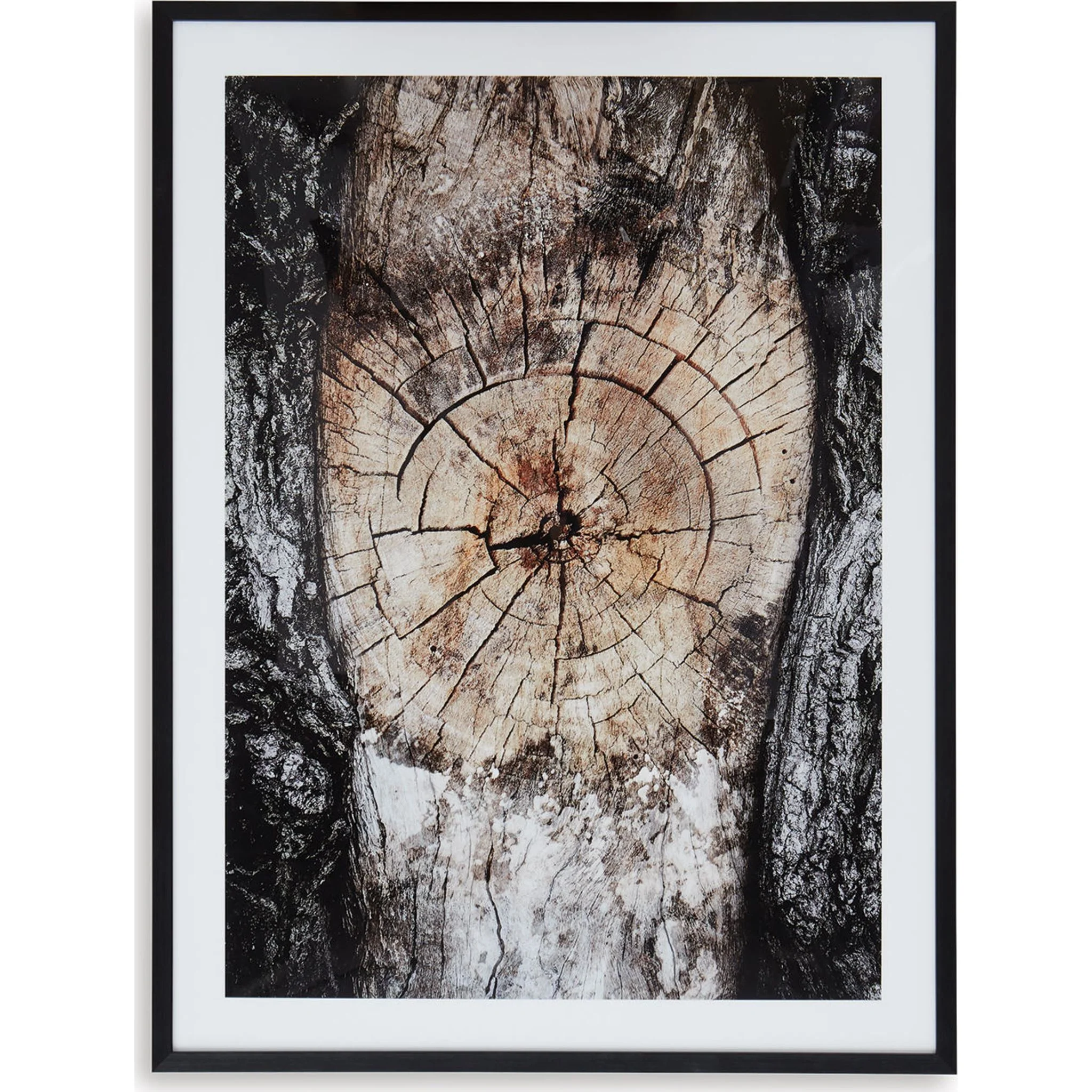 Freyburn Wall Art 30.00" x 40.00" - Image 5