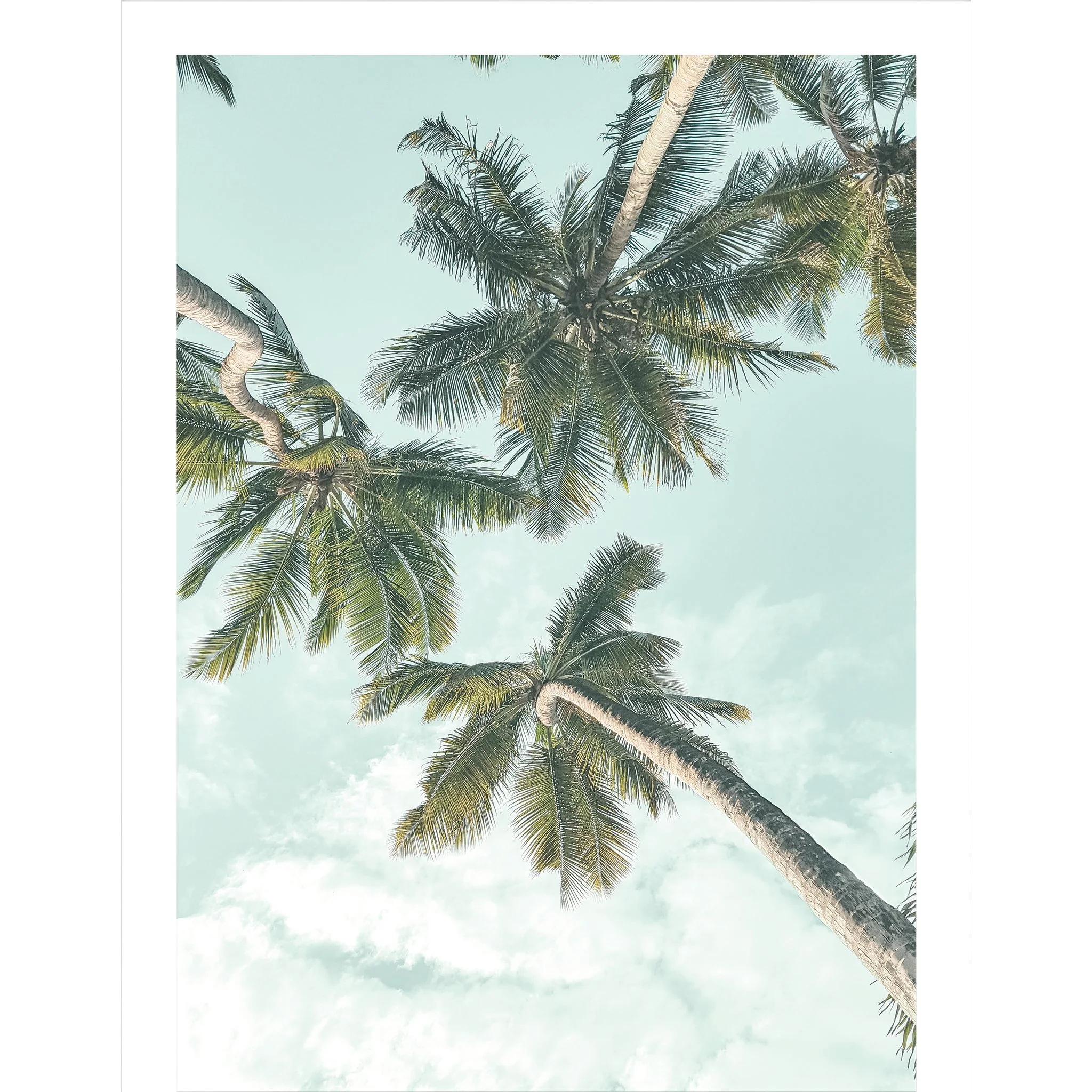 Green Palm Tree 1 Wall Art 26.00" x 34.00"