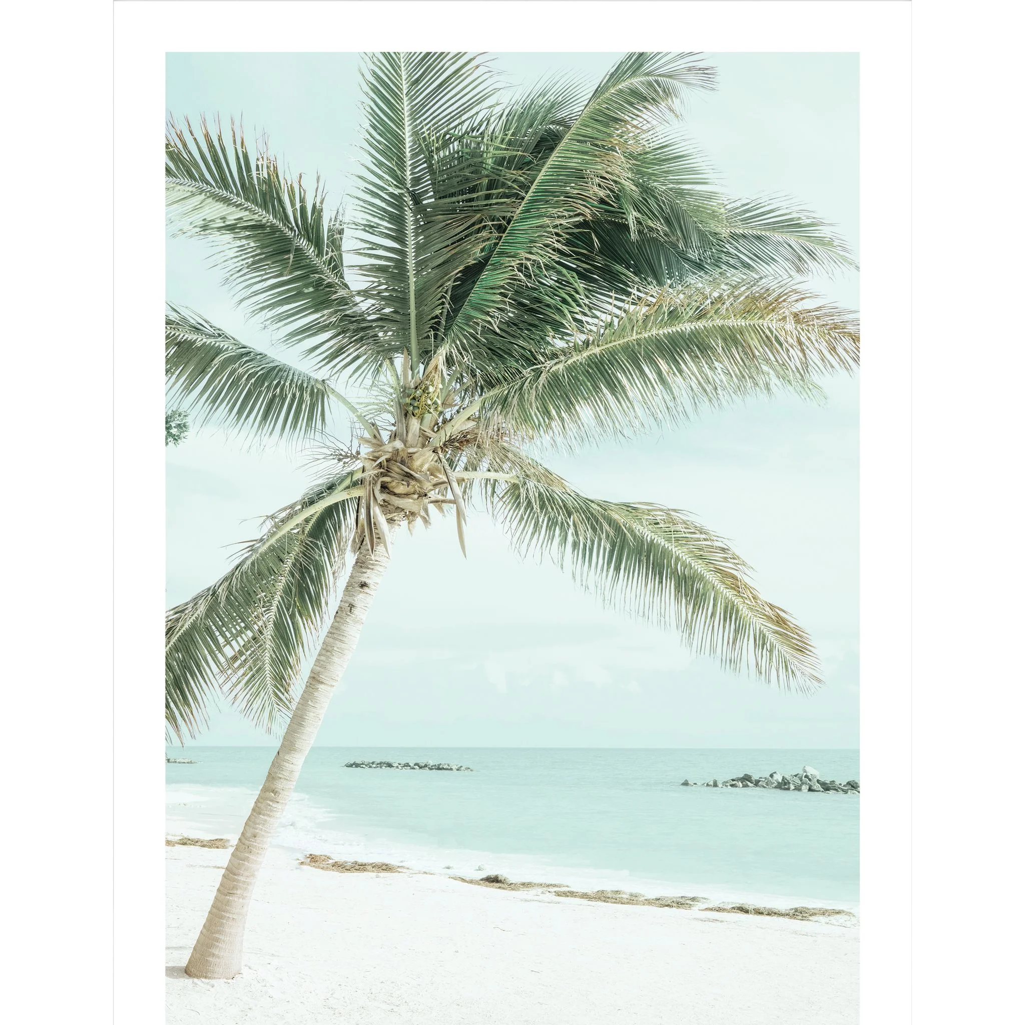 Green Palm Tree 2 Wall Art 26.00" x 34.00"