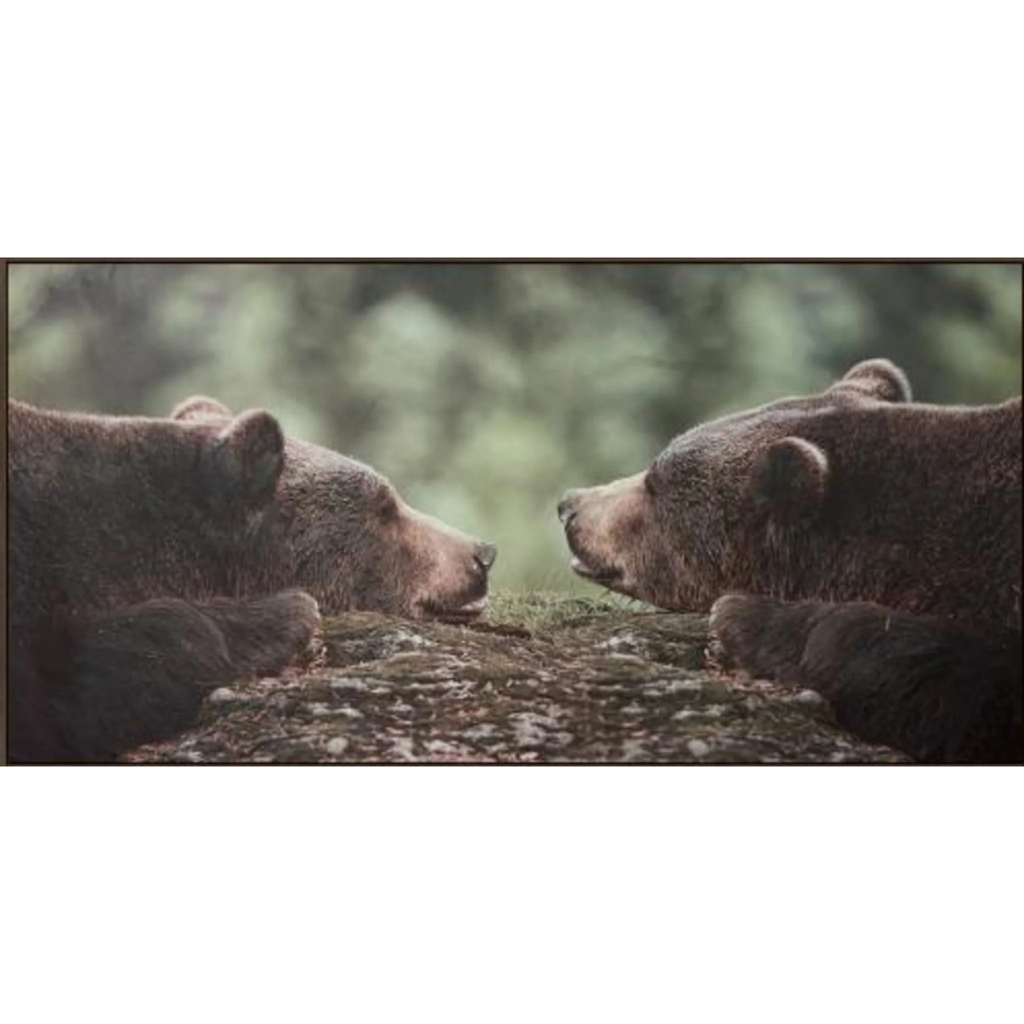 Grizzly Gaze Wall Art 61.00" x 31.00"
