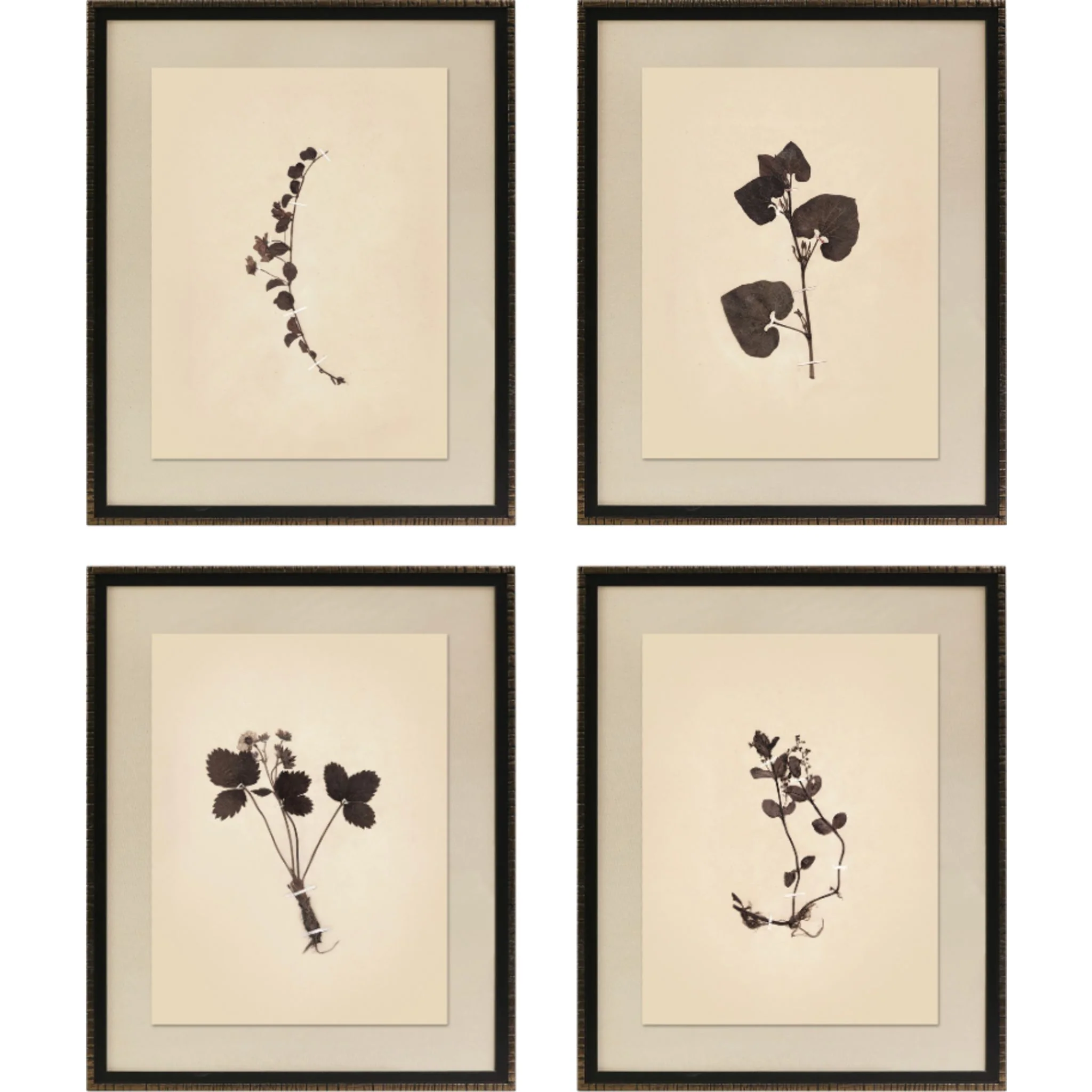 Heirloom Wall Art (Set of 4)