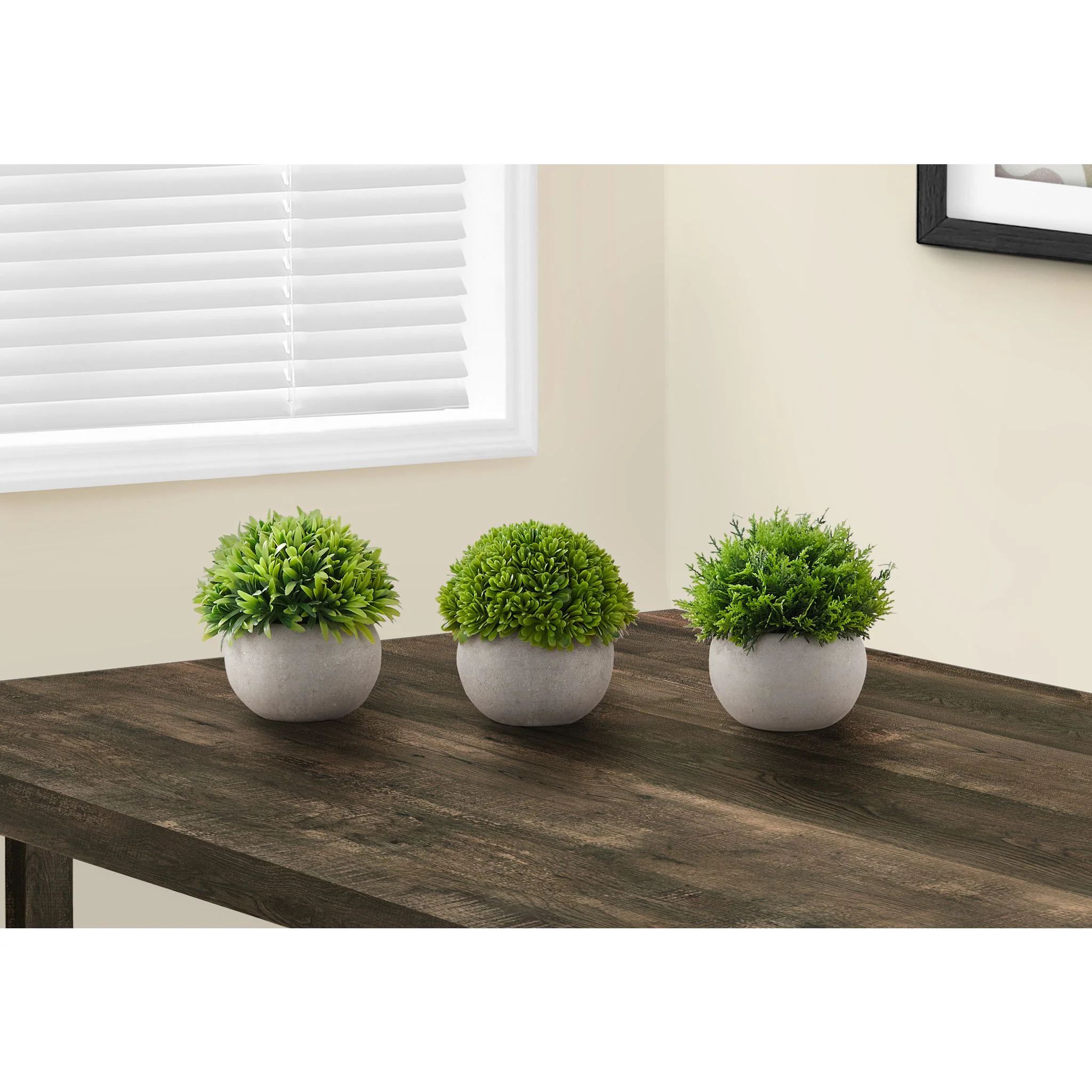 Indoor Grass Plant (Set of 3) - Image 2