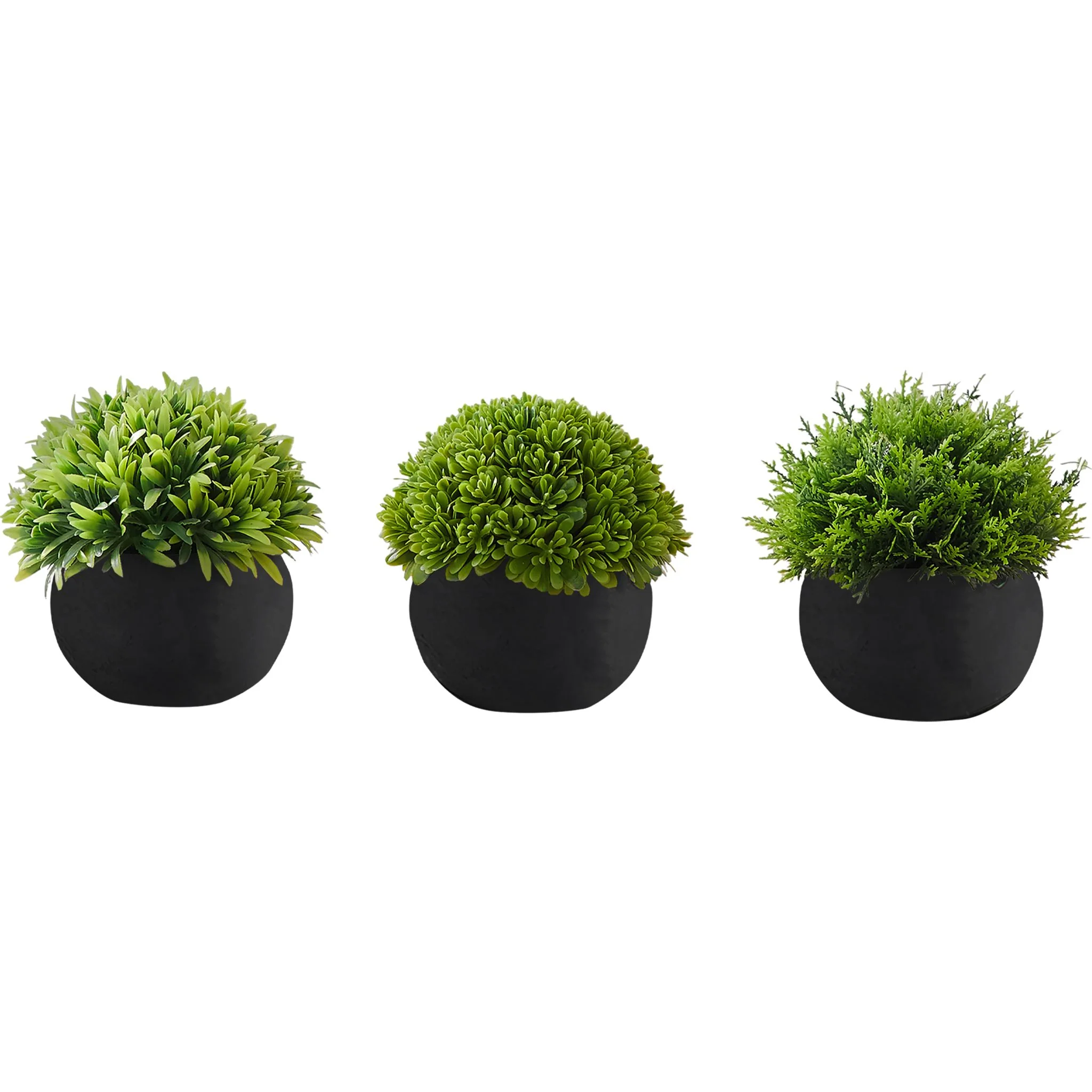 Indoor Grass Plant (Set of 3)
