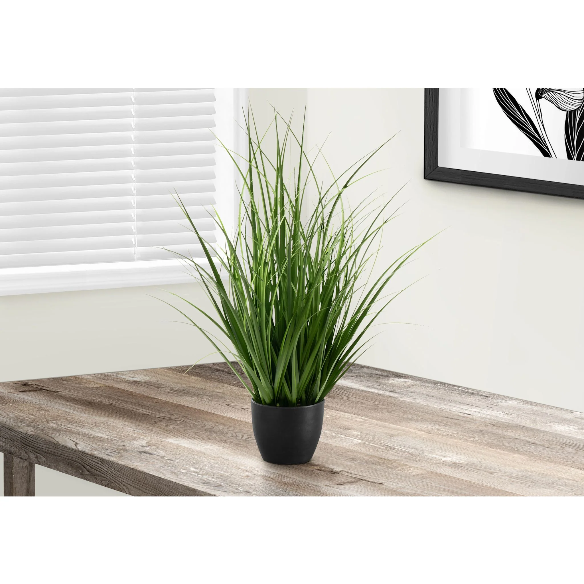 Indoor Grass Plant - Image 2