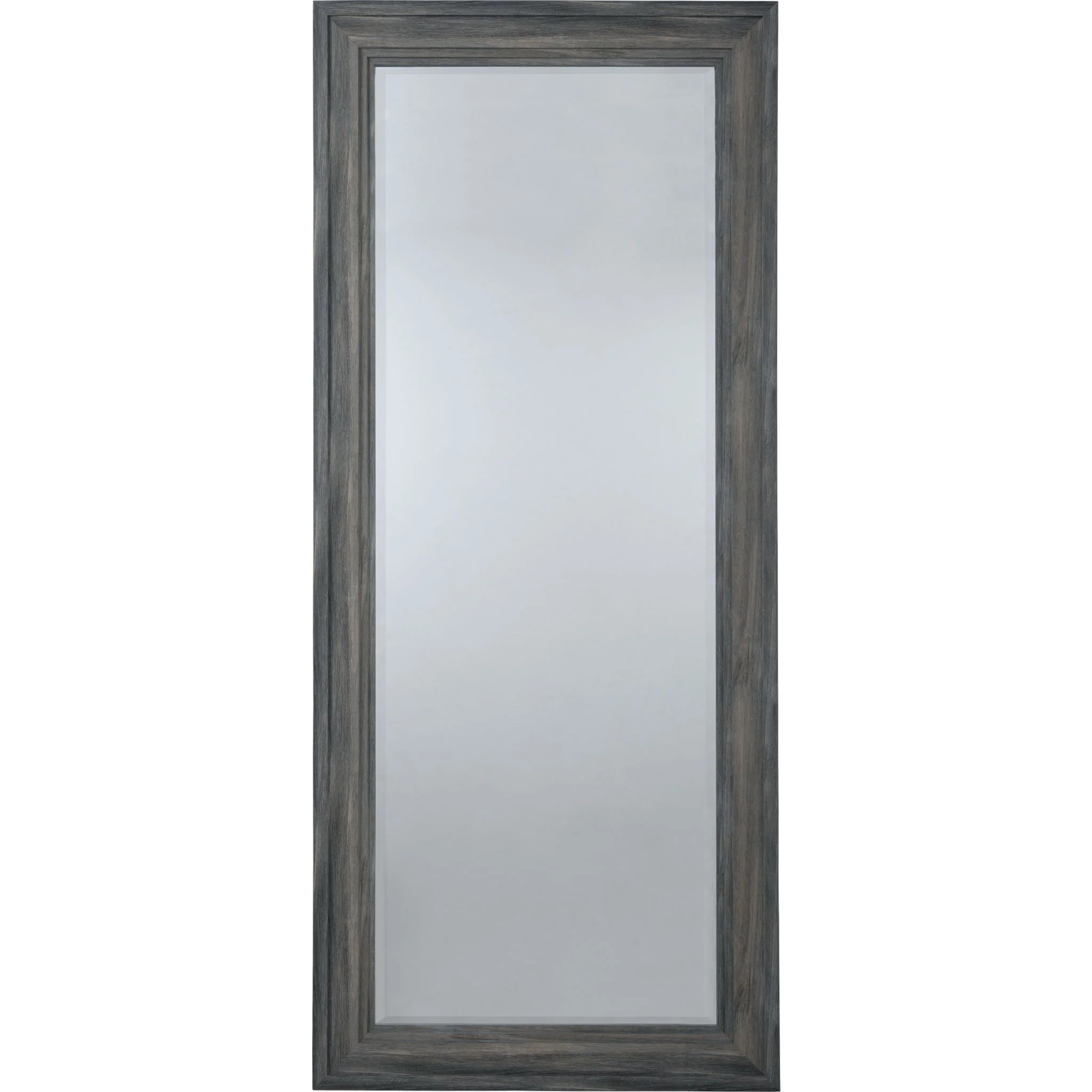 Jacee Mirror 30.00" x 70.00"