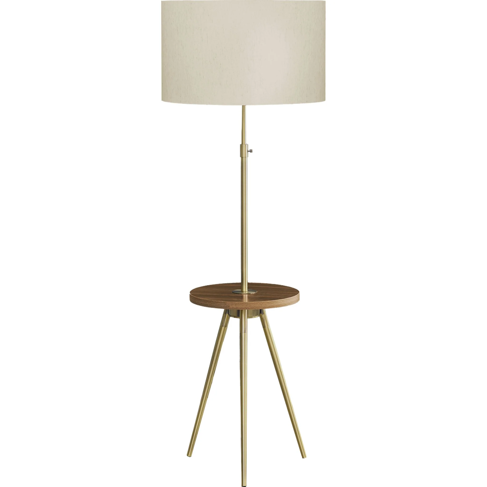 Joaquina Floor Lamp 55.00"