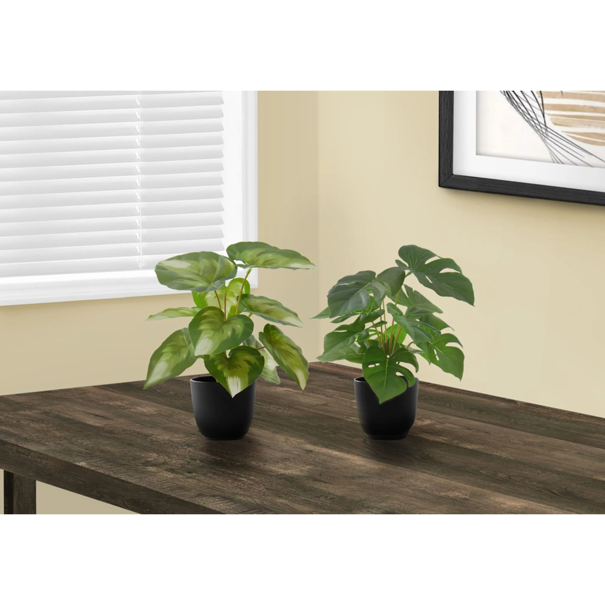 Monstera Plant (Set of 2) - Image 2
