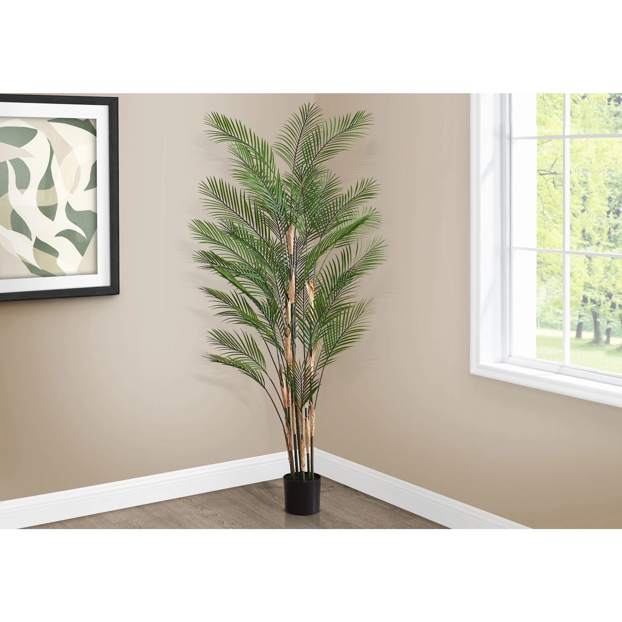 Palm Tree - Image 2