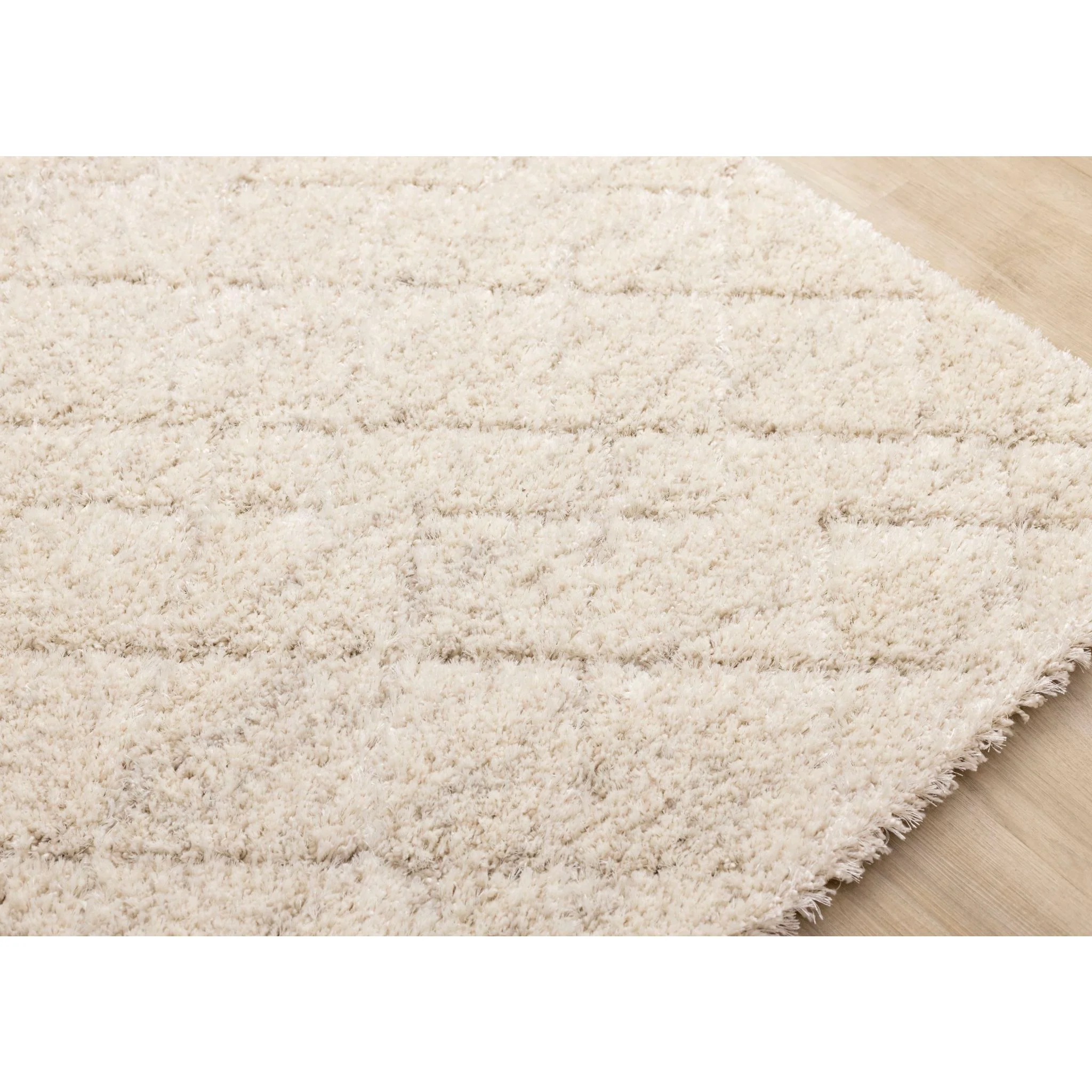 Roman Area Rug - Image 4