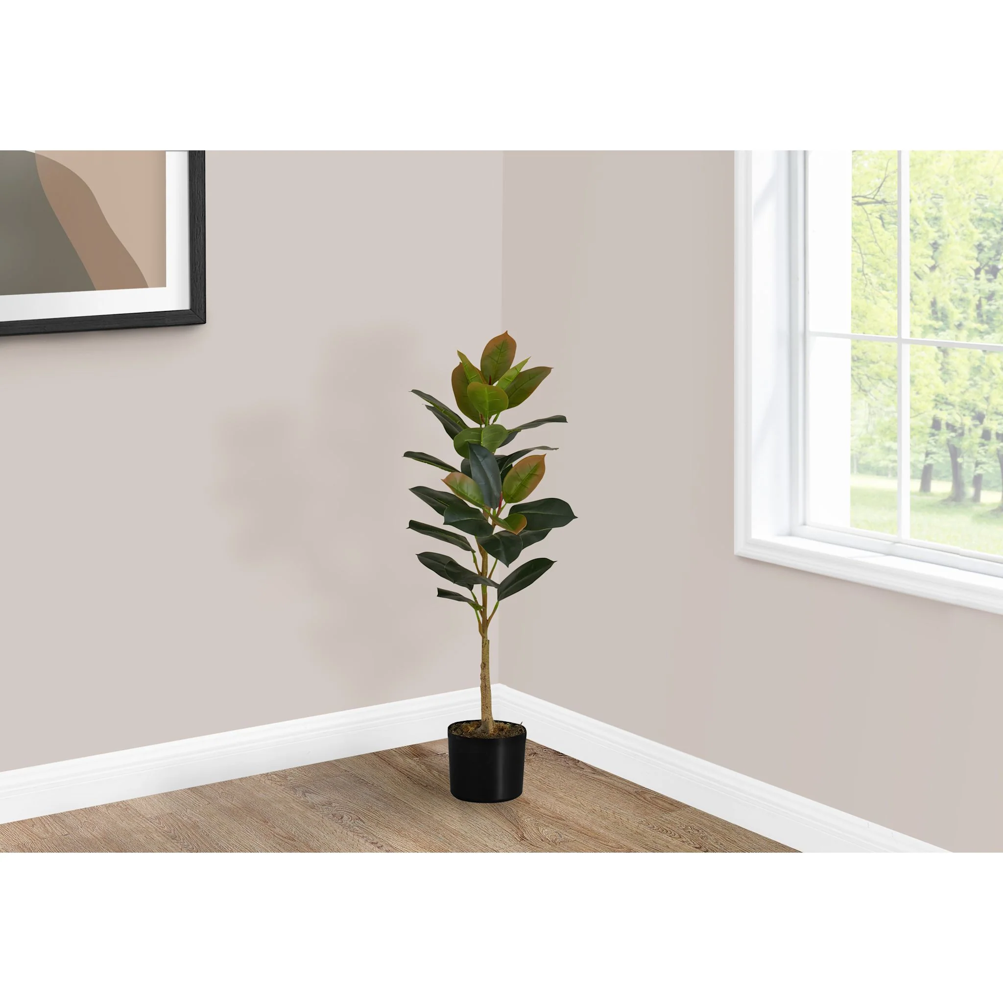 Rubber Tree - Image 2