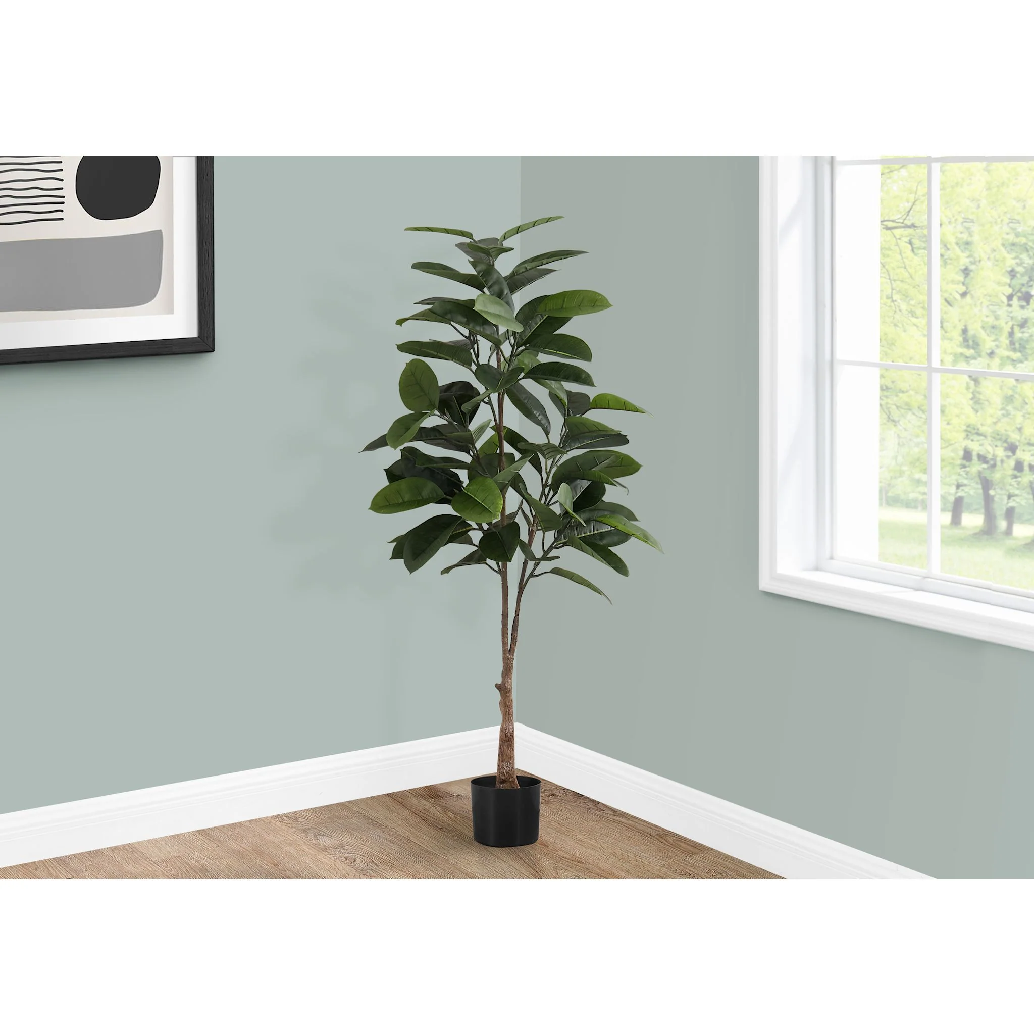 Rubber Tree - Image 2