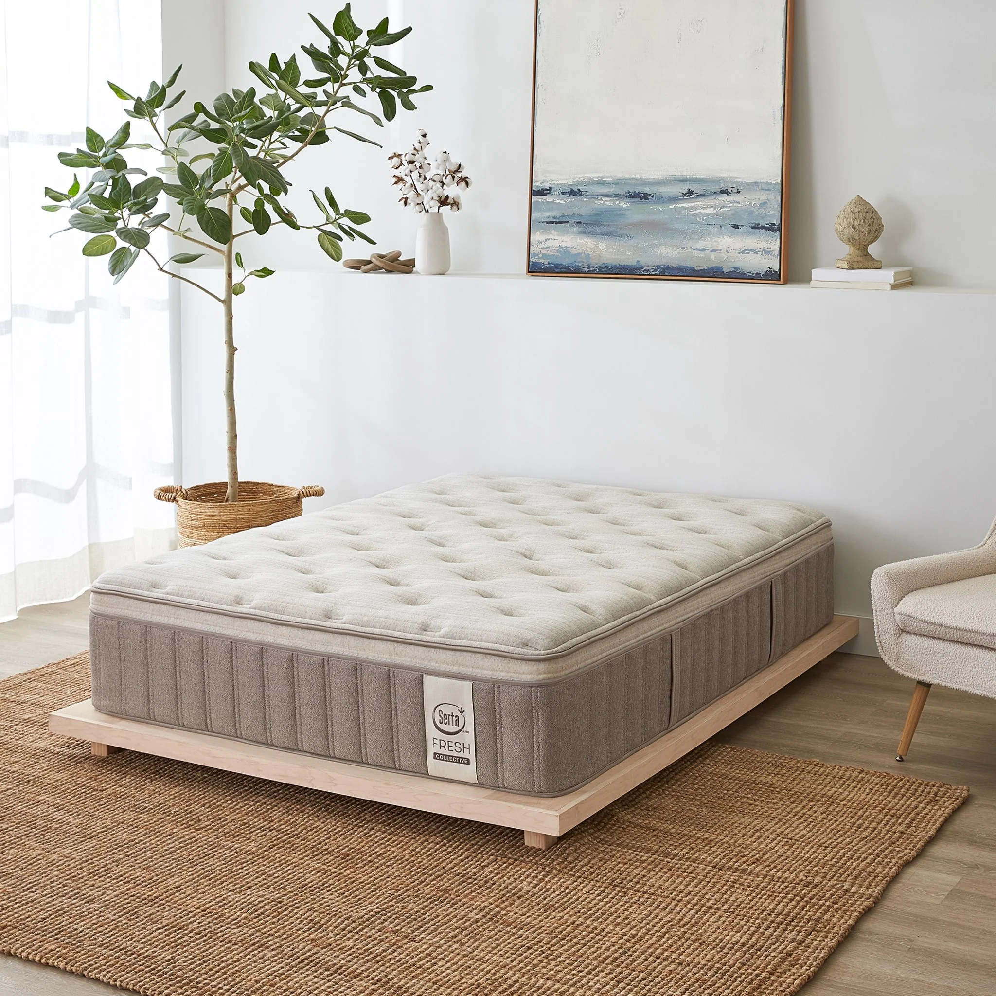 Serta Fresh Collective 15" Sycamore Pillow Top Medium Mattress - Image 2