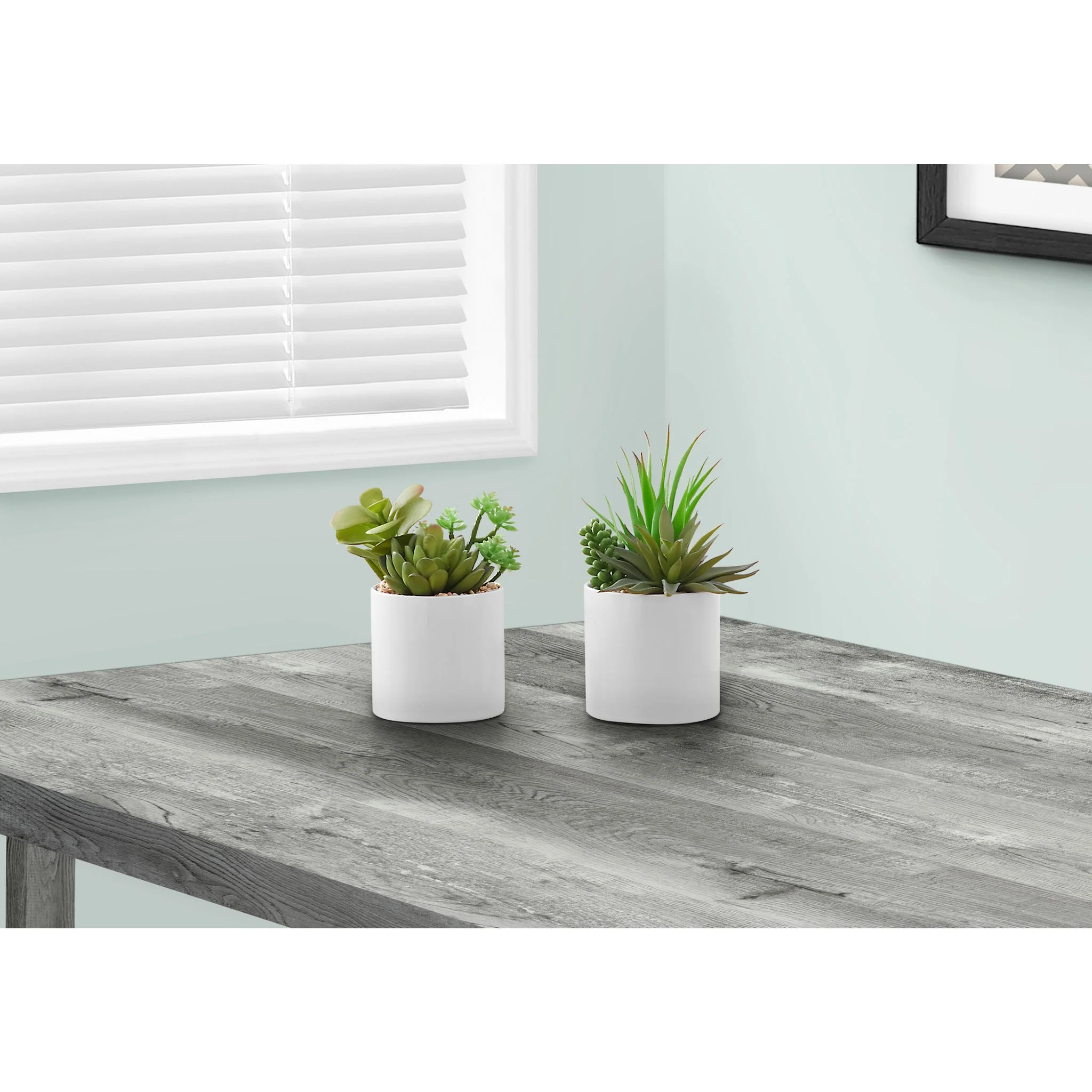 Succulent Plant (Set of 2) - Image 2