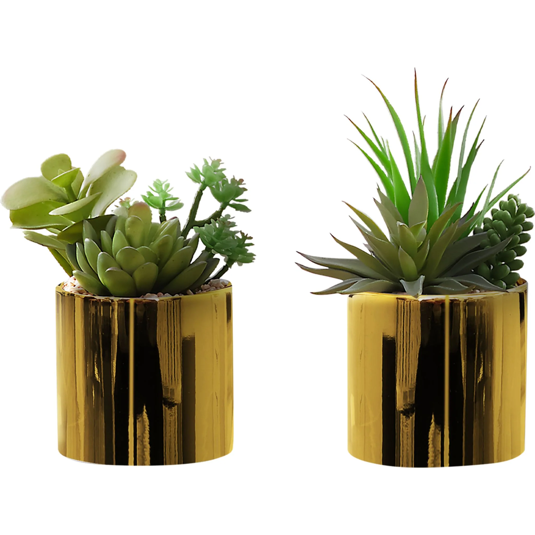 Succulent Plant (Set of 2)