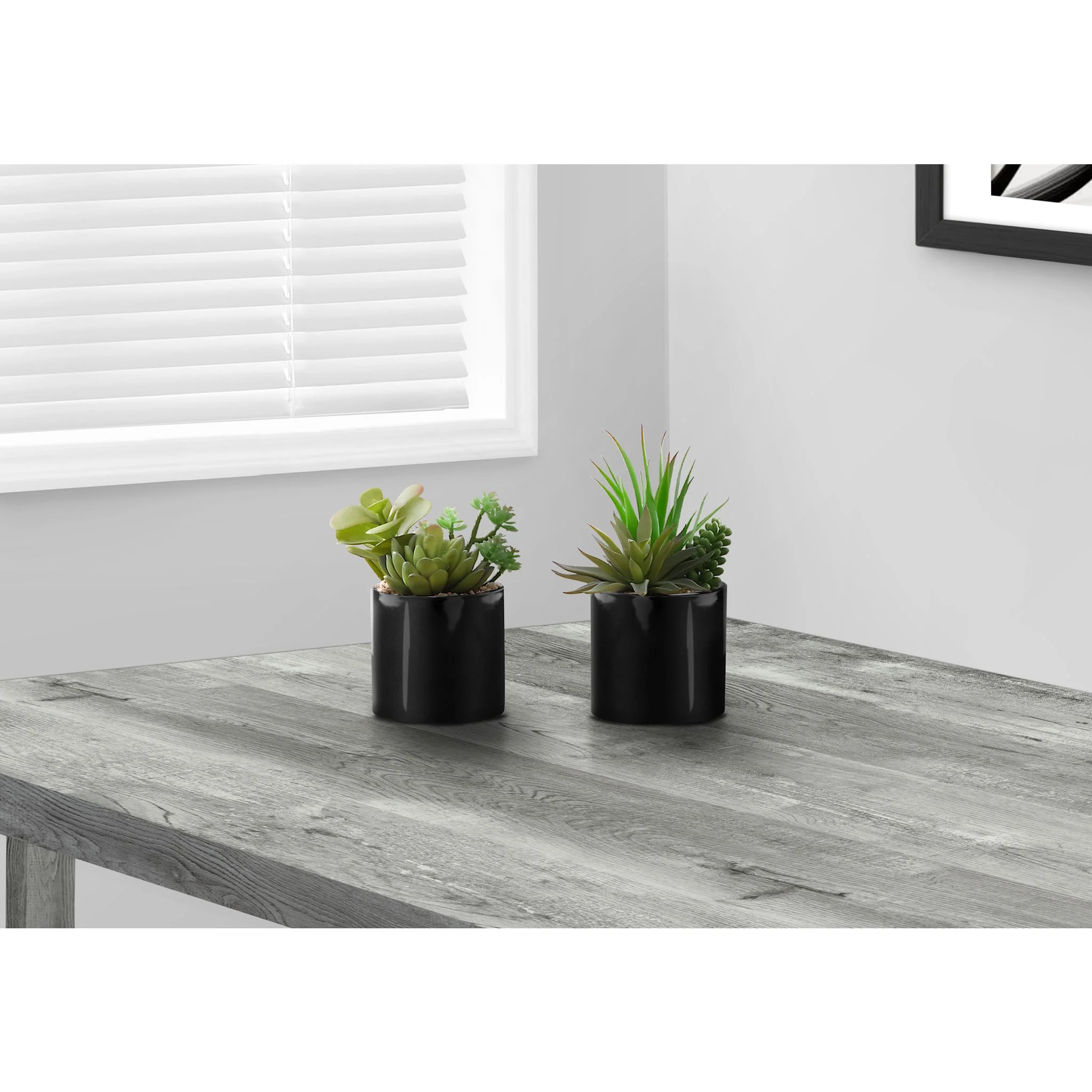 Succulent Plant (Set of 2) - Image 2