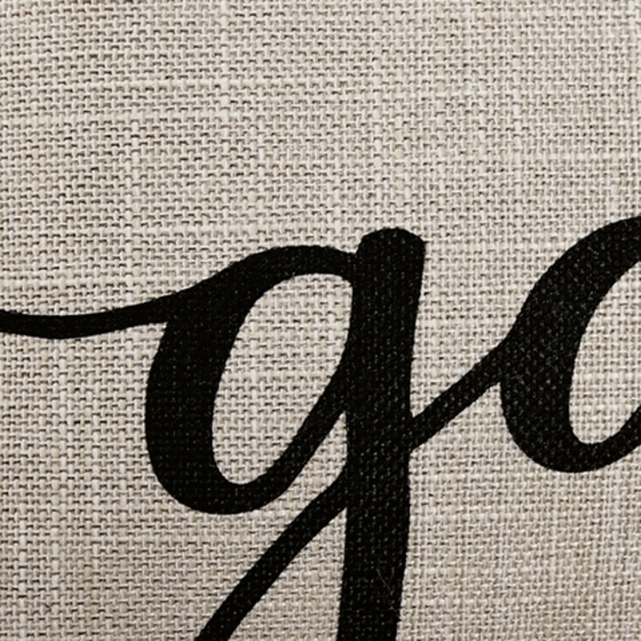 Whisperich Accent Pillow 22.00" - Image 5